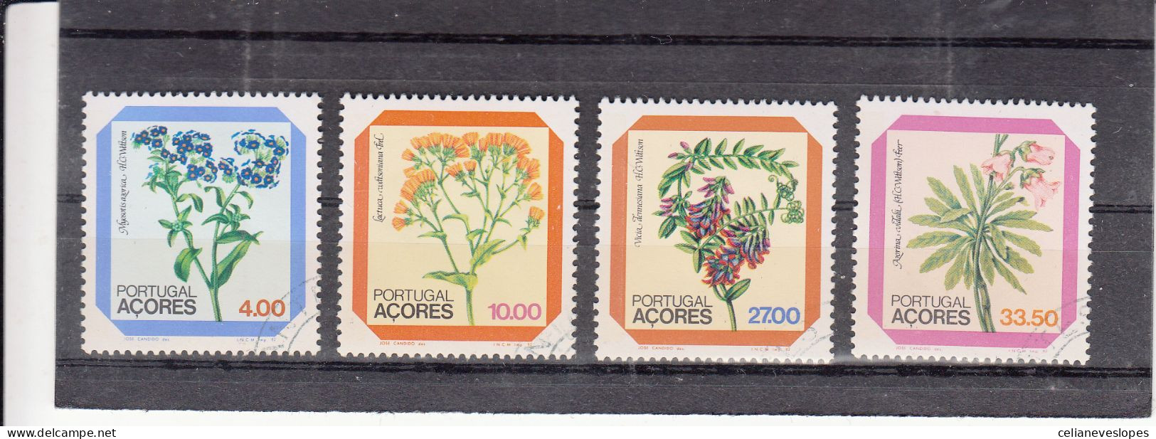 Portugal, Flores Regionais Dos Açores, 1982, Mundifil Nº 1555 A 1558 Used - Gebruikt