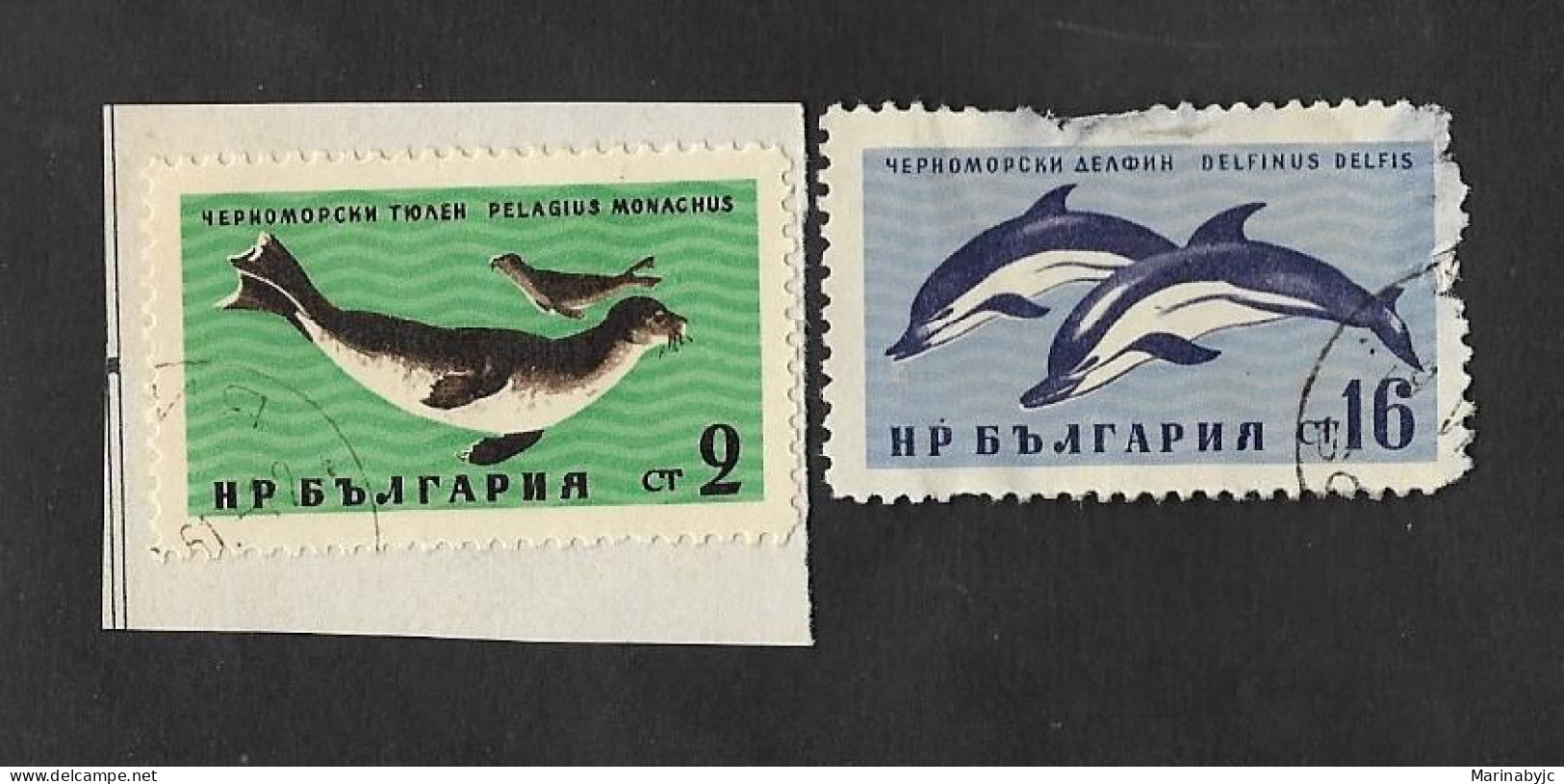 SE)1961 BULGARIA, BLACK SEA WILDLIFE, MEDITERRANEAN MONK SEAL & DOLPHINS, USED - Used Stamps