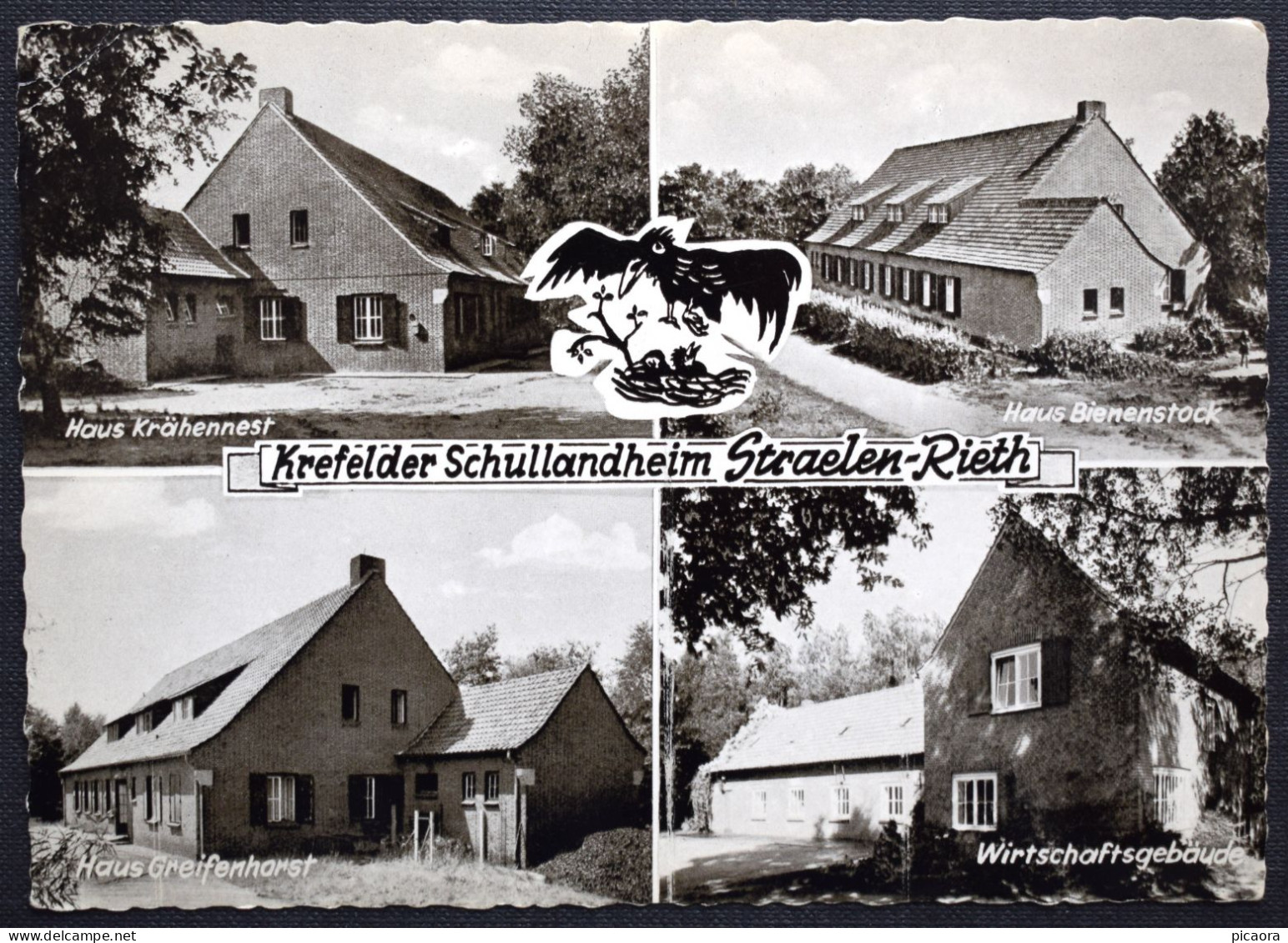 Alemania  Germany   Krefelder Schullandheim  Campamento Escolar - Straelen