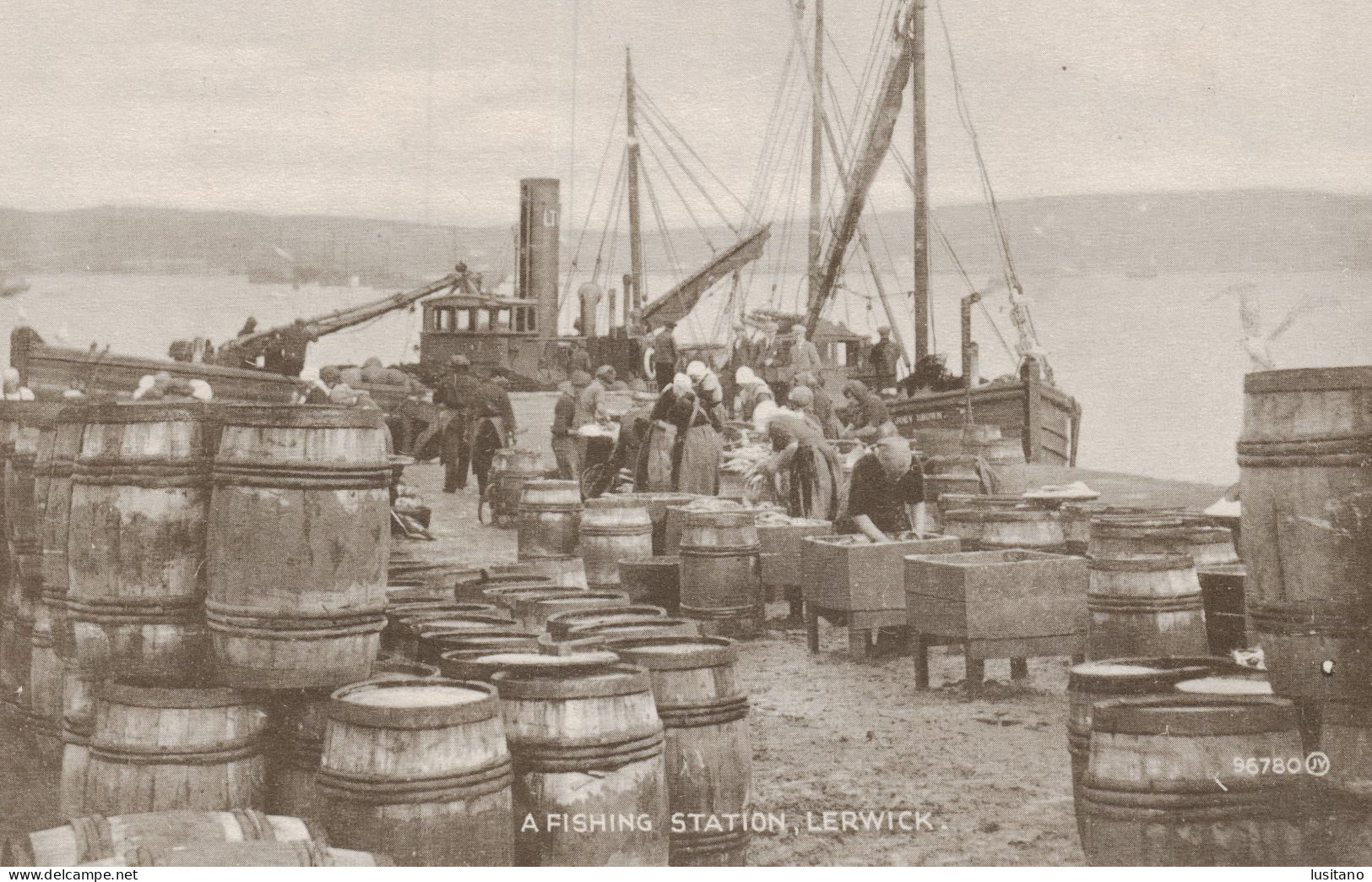 U.K. - Scotland - Shetland - Lerwick, Fishing Station  - Vintage Postcard - Shetland