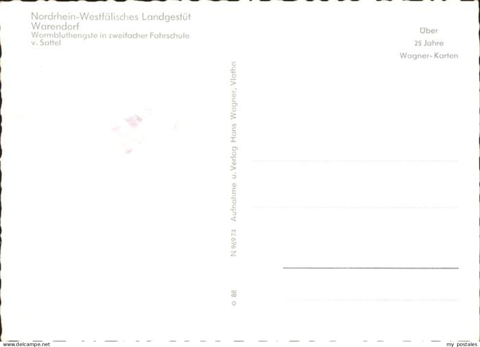 41522493 Warendorf Westf Landgestuet Warendorf Fahrschule Warendorf - Warendorf