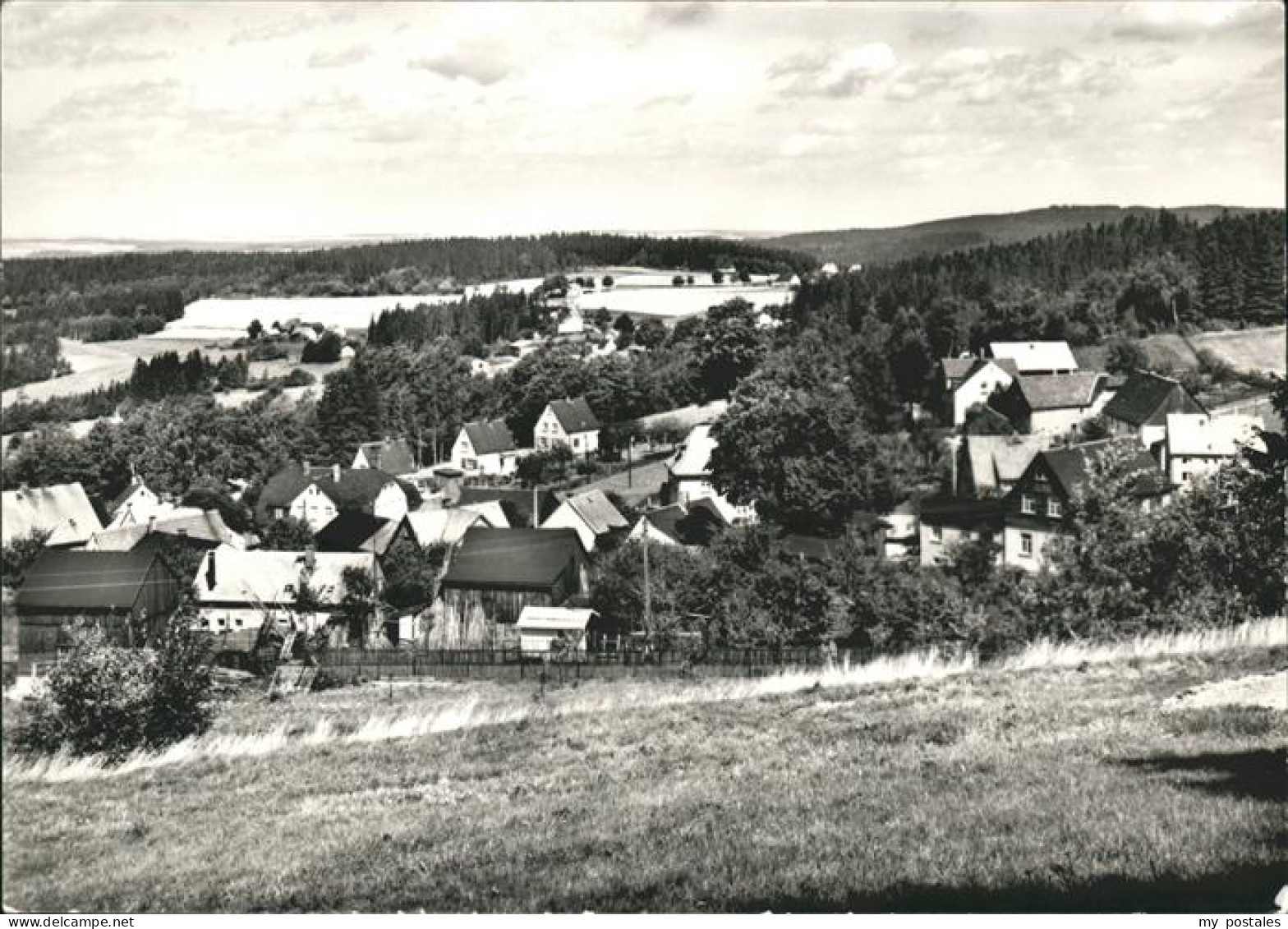 41522470 Vogelsgruen Panorama Vogelsgruen - Auerbach (Vogtland)