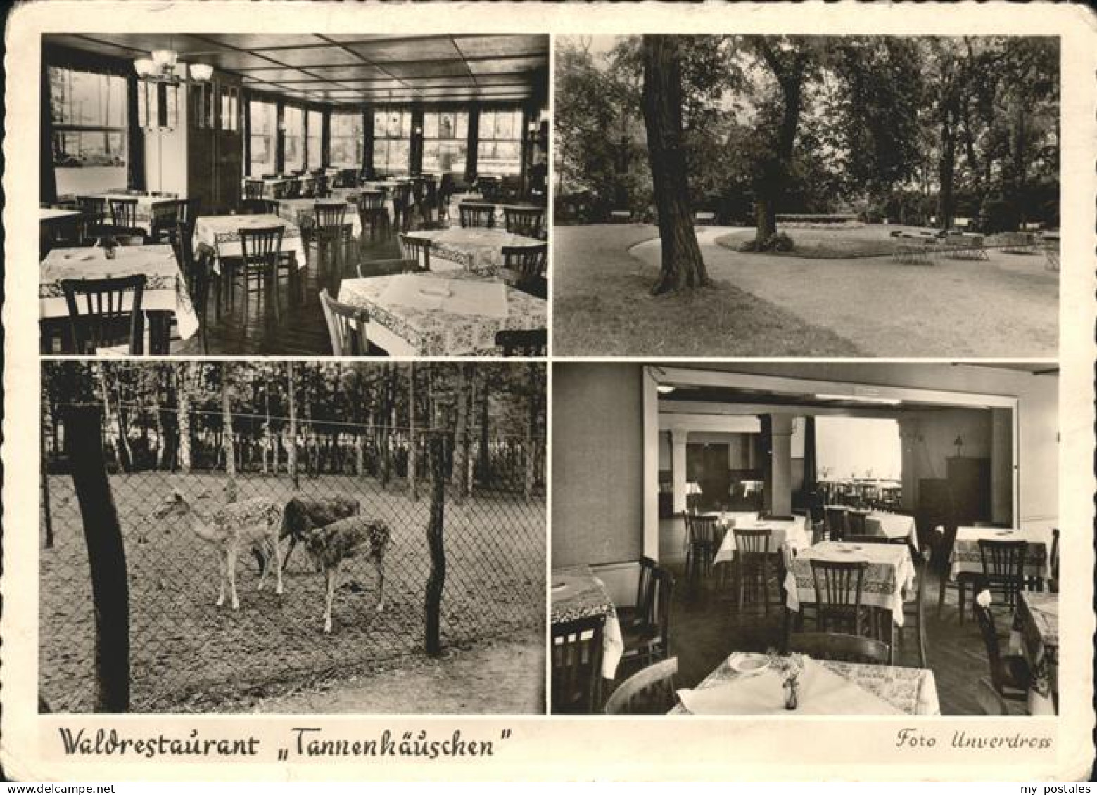 41522433 Wesel Rhein Waldrestaurant Tannenhaeuschen Gastraeume Wildgehege Wesel  - Wesel