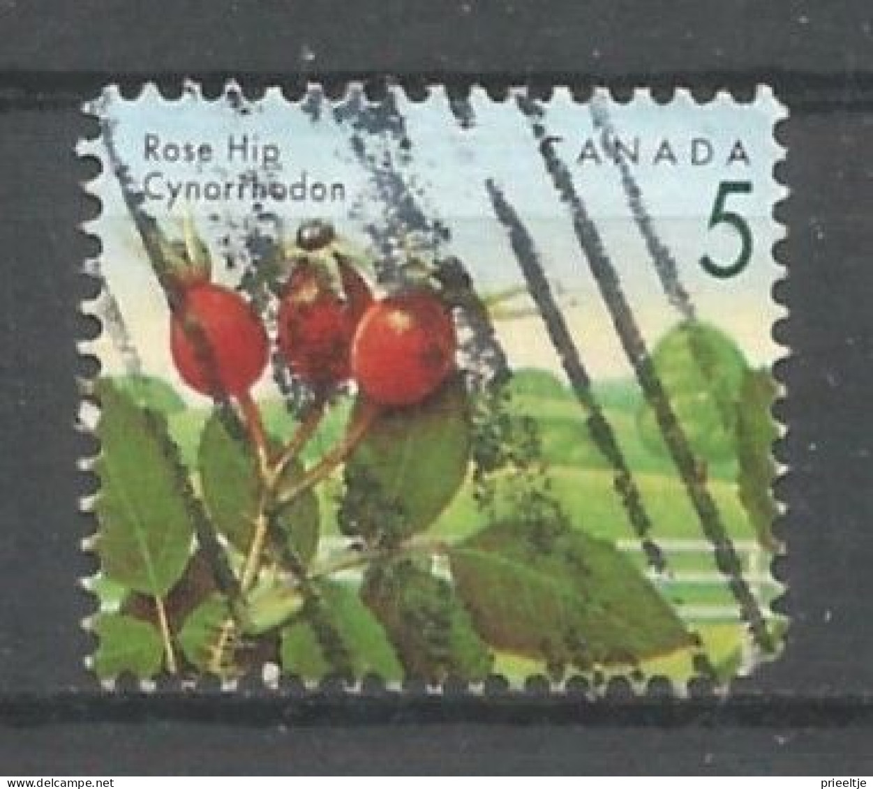 Canada 1992 Berries Y.T. 1265 (0) - Oblitérés