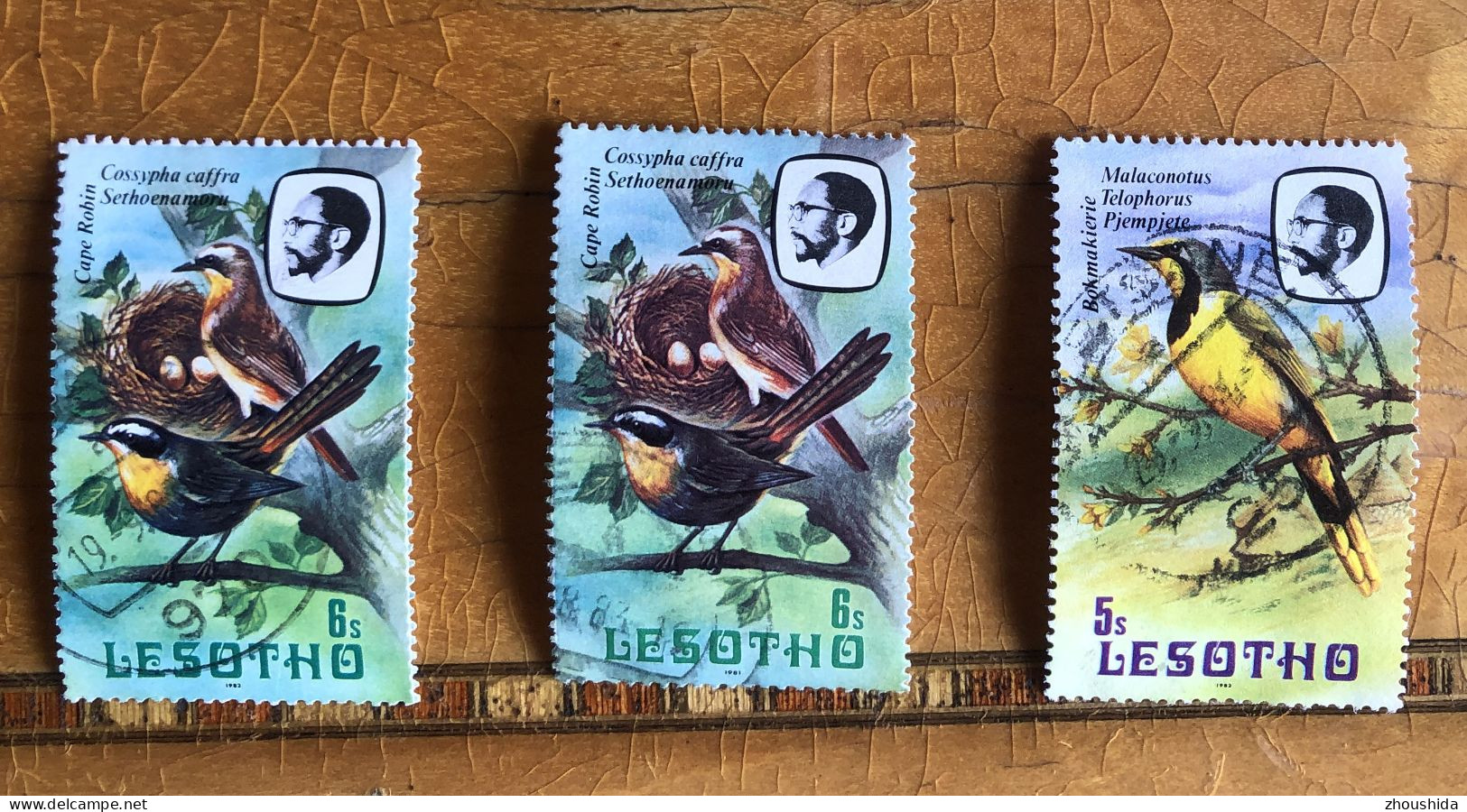 Lesotho 1981 3 X Birds Fine Used - Lesotho (1966-...)