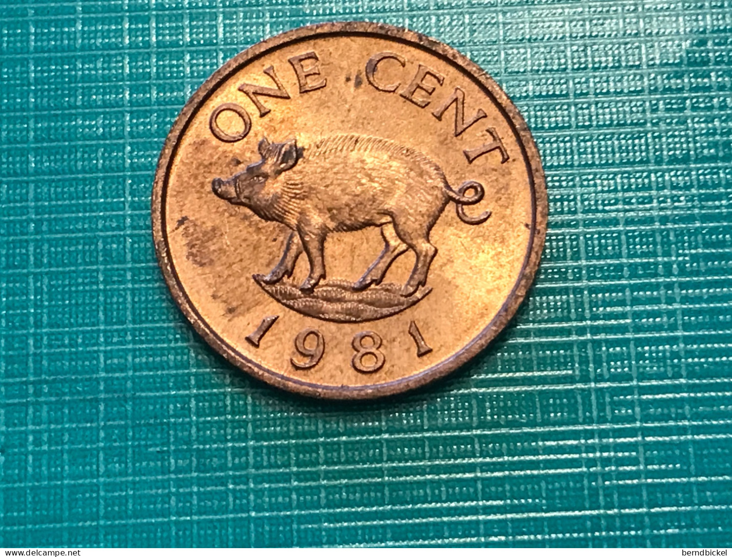 Münze Münzen Umlaufmünze Bermuda 1 Cent 1981 - Bermudes