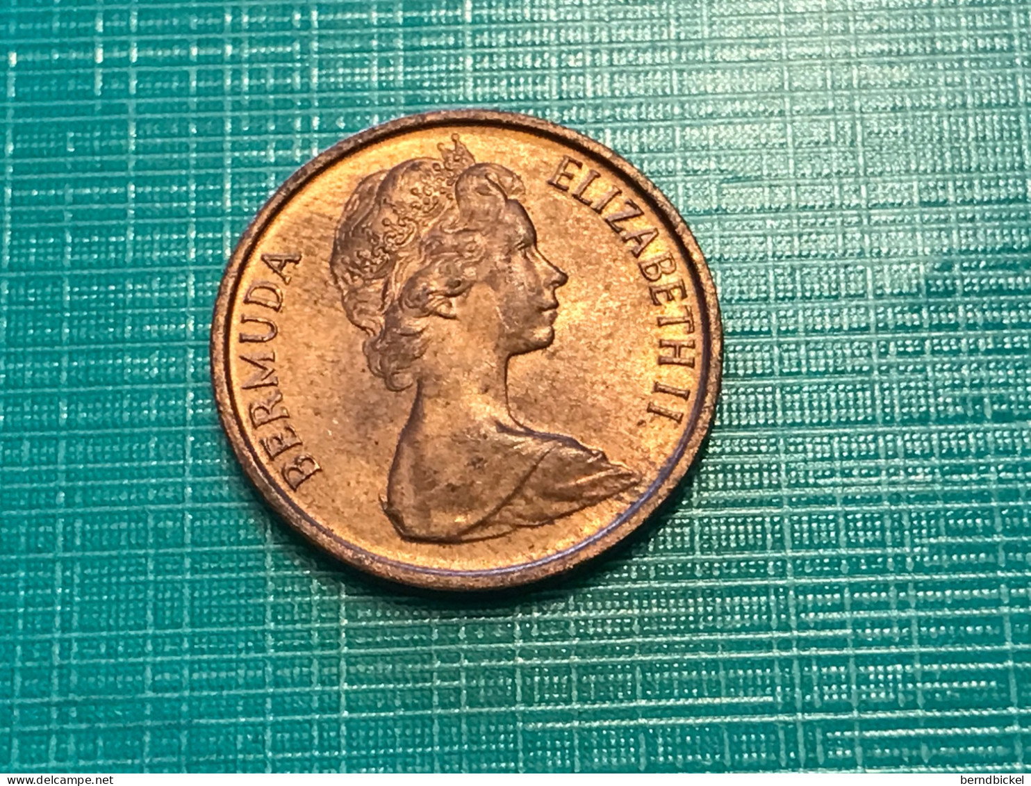 Münze Münzen Umlaufmünze Bermuda 1 Cent 1981 - Bermuda