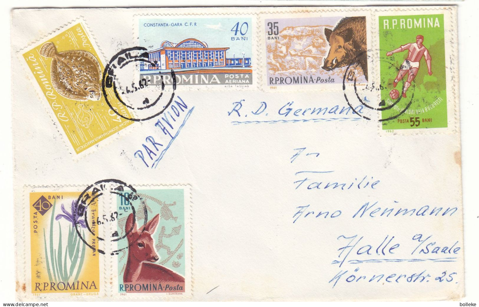 Roumanie - Lettre De 1962 - Oblit Braila - Football - Poissons - Gibier - Fleurs - Sanglier - - Briefe U. Dokumente