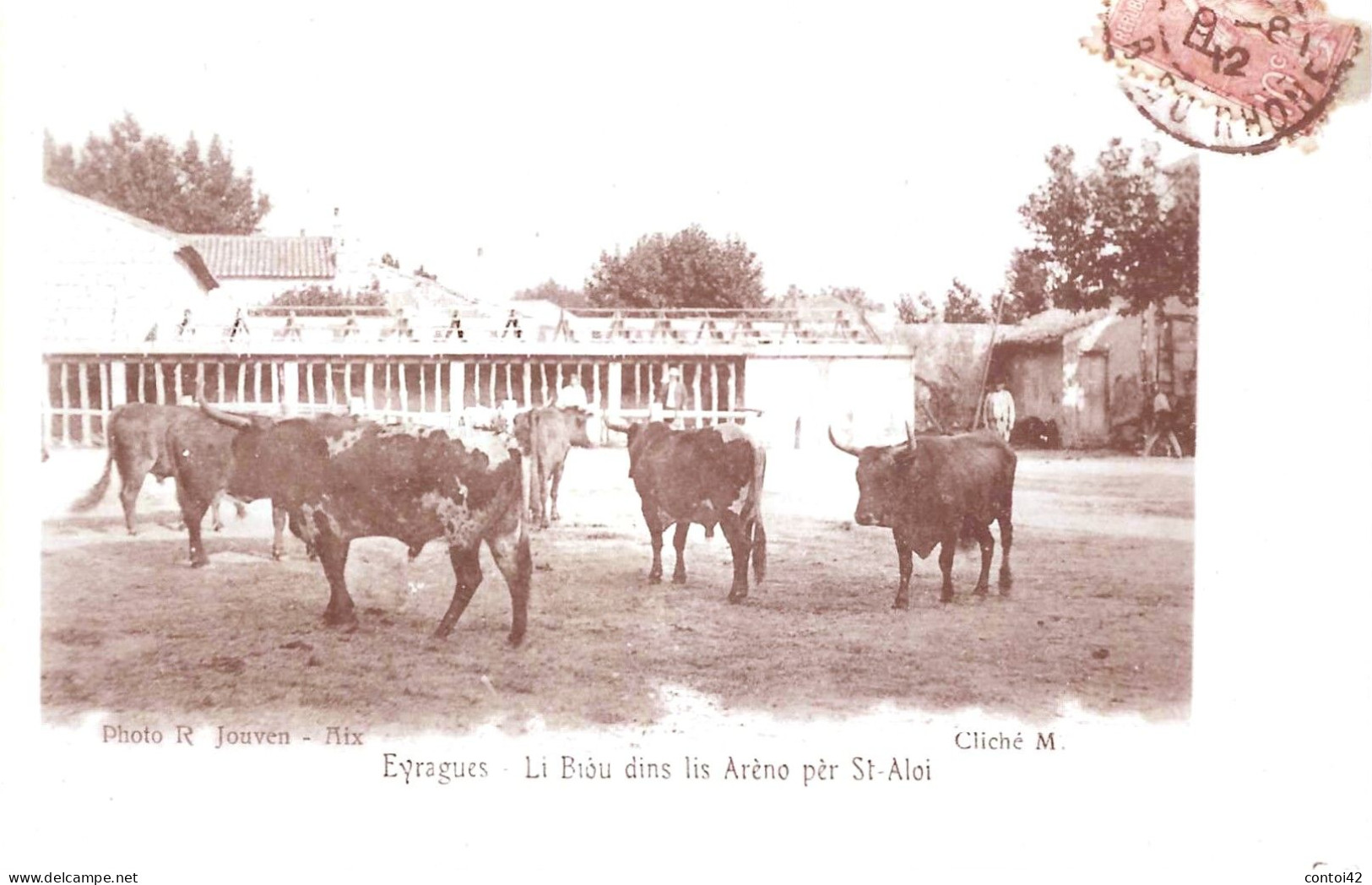 13 EYRAGUES PHOTOGRAPHIE REPRODUCTION TAUREAUX ARENES ST-ALOI PROVENCE CAMARGUE - Lieux