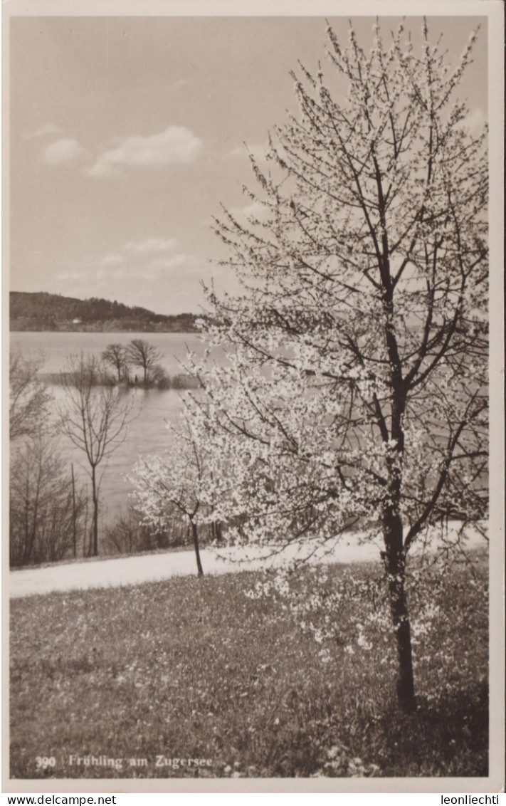 Frühling Am Zugersee, ° FÜSELIER KP II/104 Feldpost, 3.März 1943 - Lac De Zoug