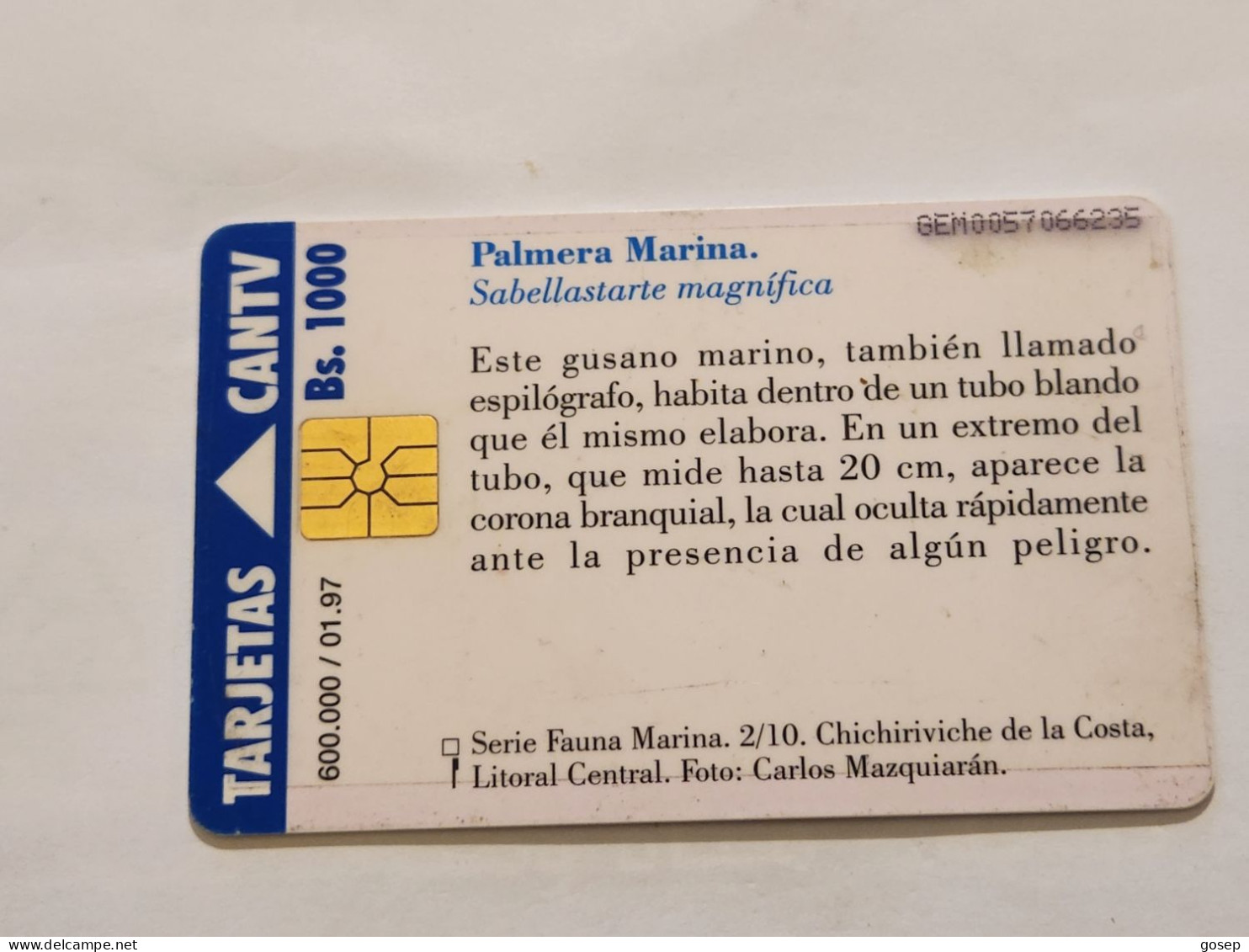 Venezuela-(VE-CAN2-0189a)-Palmera Marina-(2/10)-(217)(Bs.1000)(GEM0057066235)-used Card+1card Prepiad Free - Venezuela