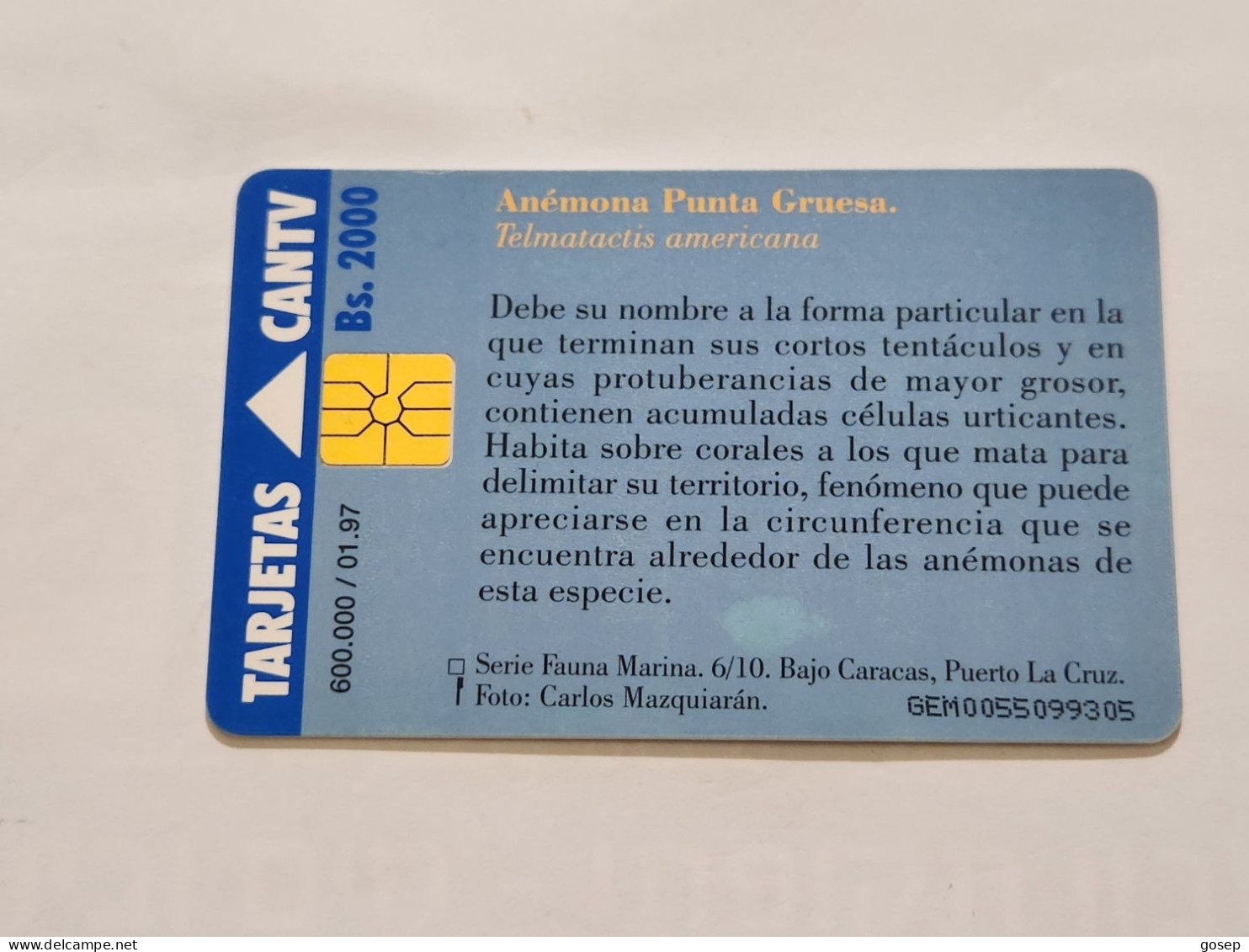 Venezuela-(VE-CAN2-0193a)-Anémona Punta Gruesa-(6/10)-(218)(Bs.2000)(GEM0055099305)-used Card+1card Prepiad Free - Venezuela