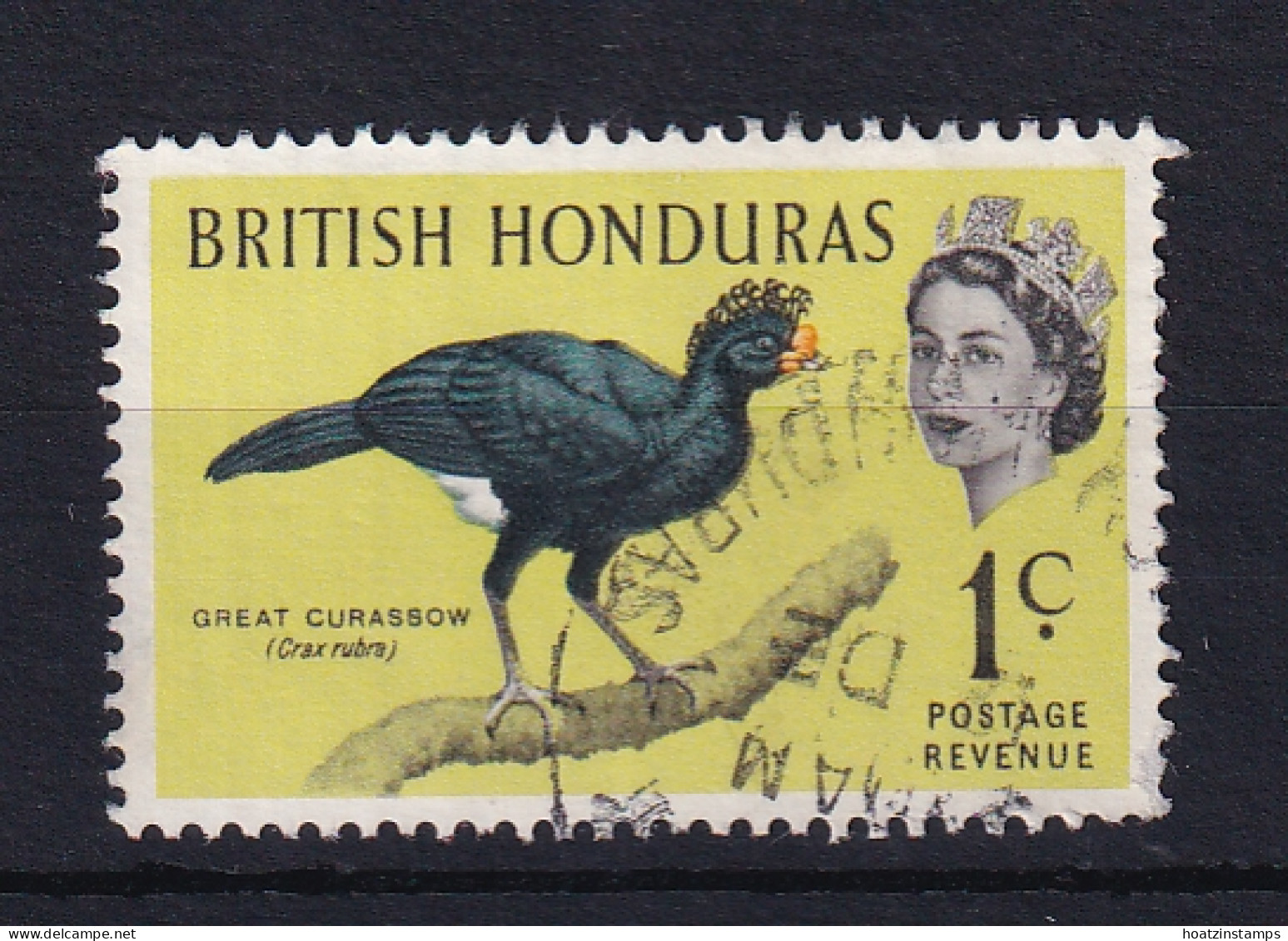 British Honduras: 1962   QE II - Birds   SG202    1c    Used - Britisch-Honduras (...-1970)