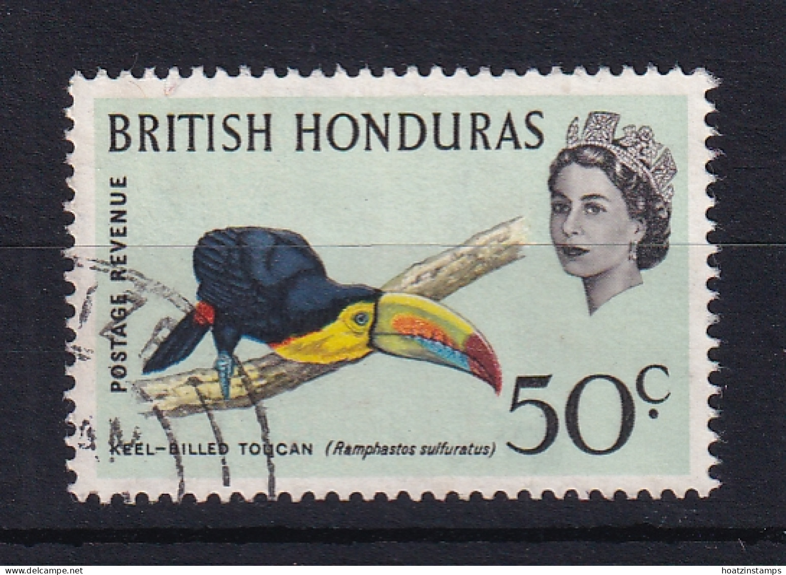 British Honduras: 1962   QE II - Birds   SG210    50c    Used - Honduras Britannico (...-1970)