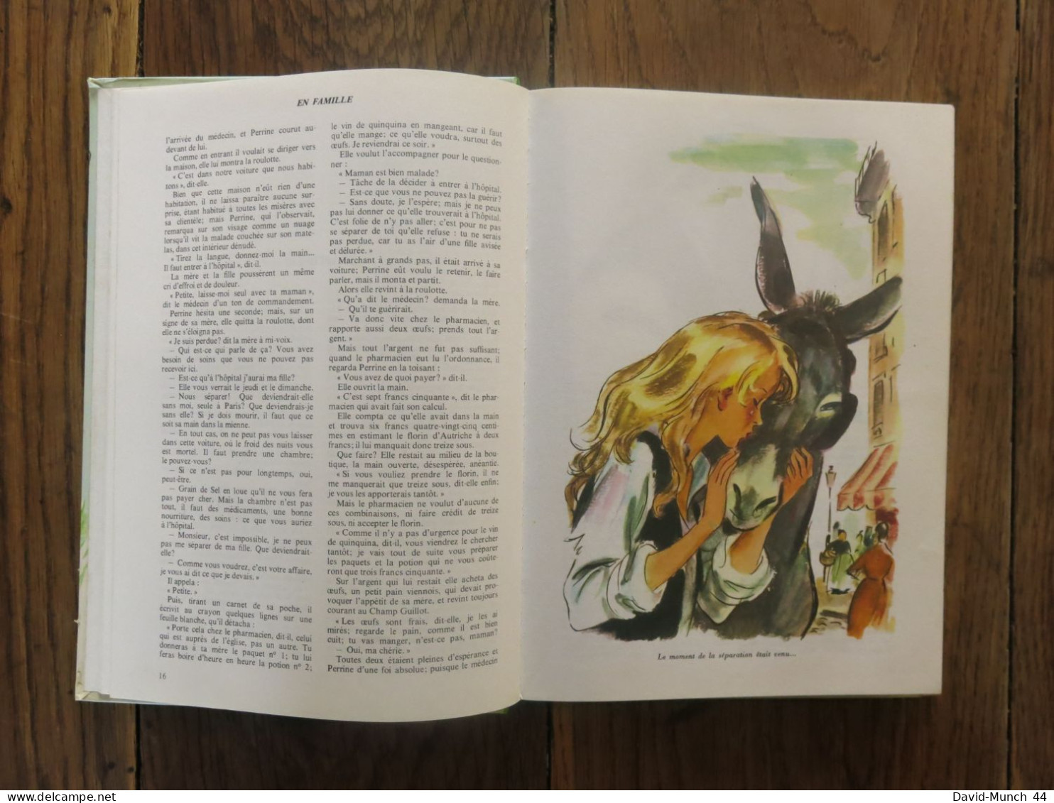 En Famille De Hector Malot, Illustrations De Albert Chazelle. Hachette, Collection La Galaxie. 1980 - Hachette
