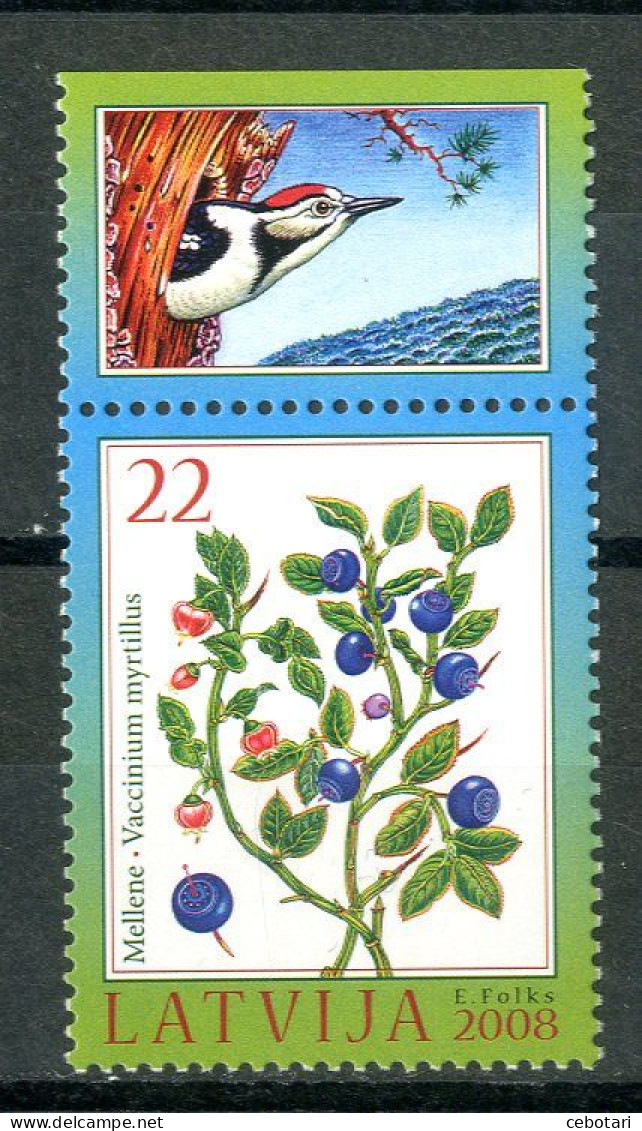 LETTONIA / LATVIJA 2008** - Mirtillo Nero - Vaccinium Myrtillus - 1 Val. MNH - Fledermäuse