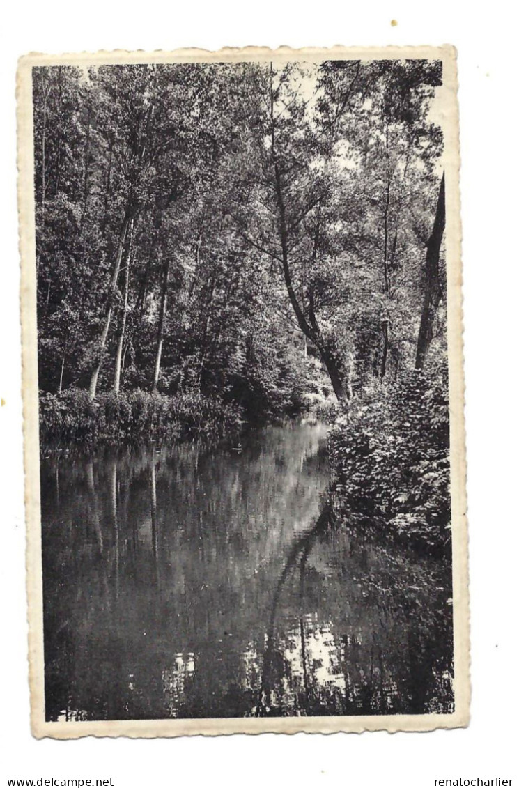 Vallée Du Samson.Le Ruisseau Entre Samson Et Goyet. - Gesves