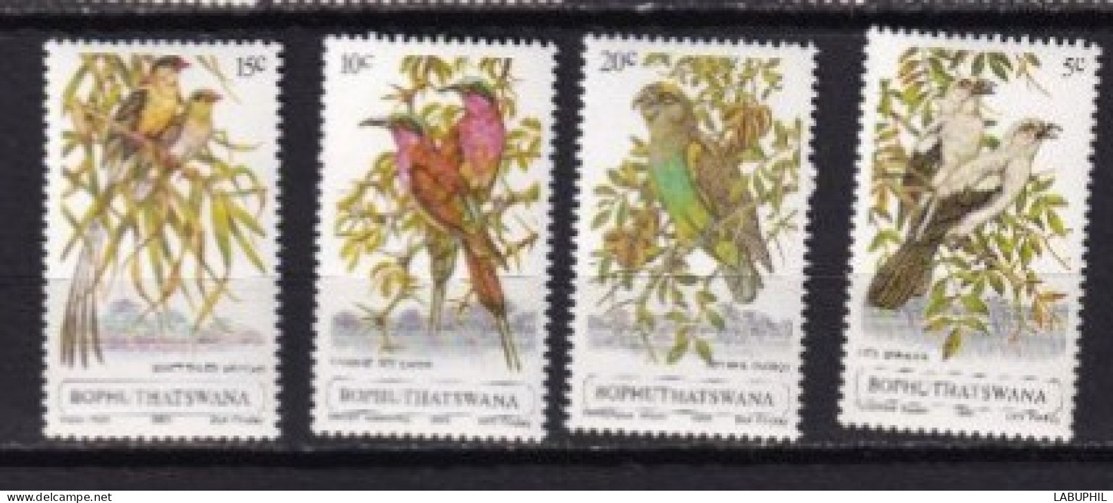 BOPHUTHATSWANA MNH ** 1980 Oiseaux Birds - Bophuthatswana