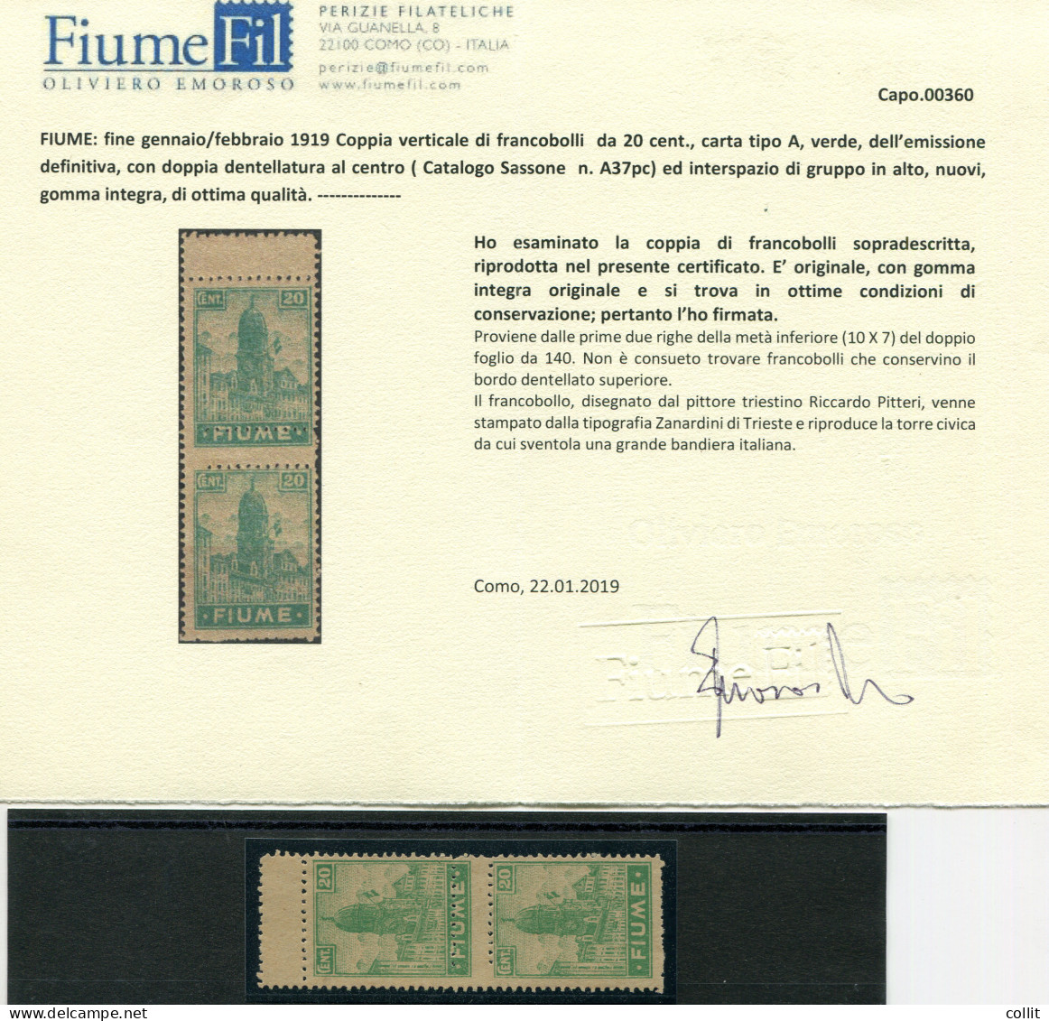 Fiume - Allegoria Cent. 20 N. A 37pc (carta A) Coppia Varietà - Emissions Locales/autonomes