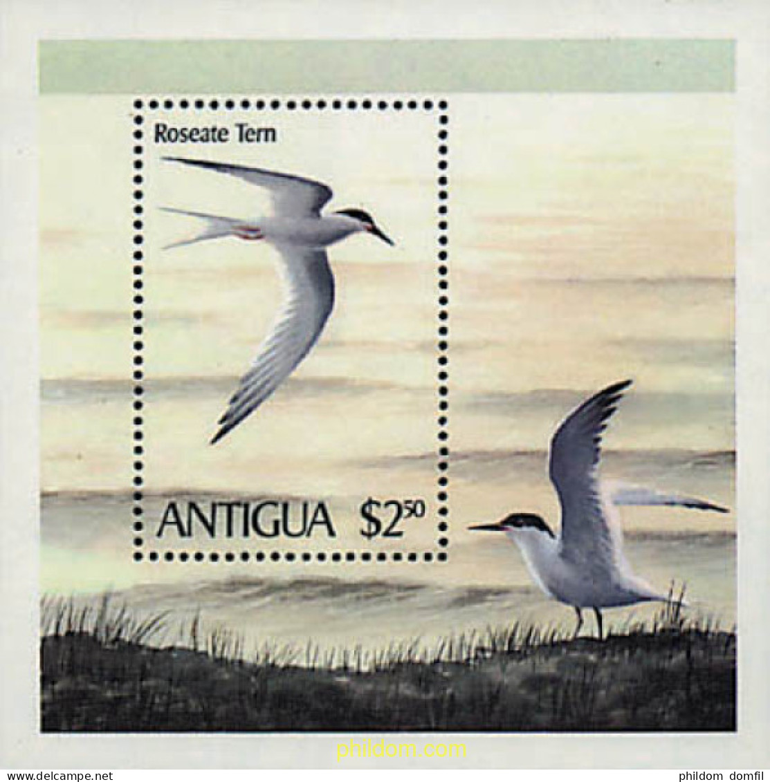 46702 MNH ANTIGUA 1980 FAUNA. AVES - Other & Unclassified