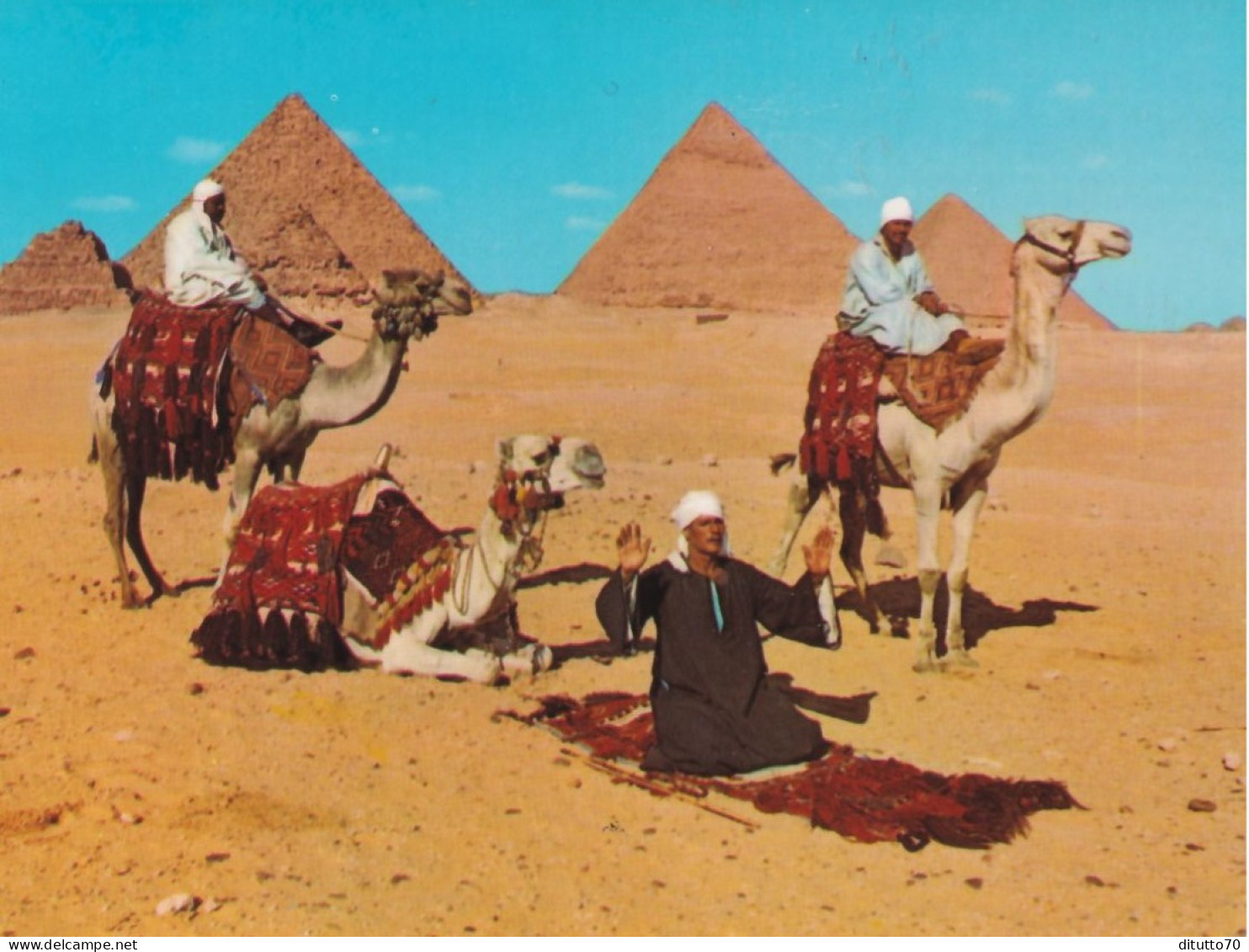 Giza - Ard Camelriders In From Of The Pyramds - Egito - Formato Grande Non Viaggiata – FE390 - Gizeh