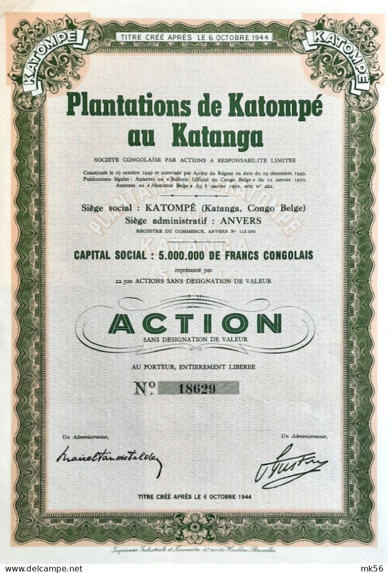 Plantations De Katompé Au Katanga - Congo Belge - 1950 - Afrique