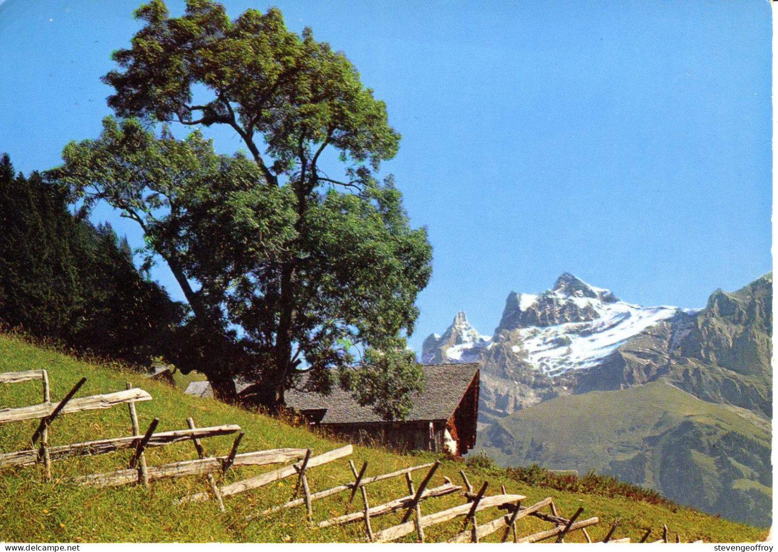 Suisse Valais Champéry Paysage Alpestre Les Dents Du Mdi Baugé Luynes - Champéry