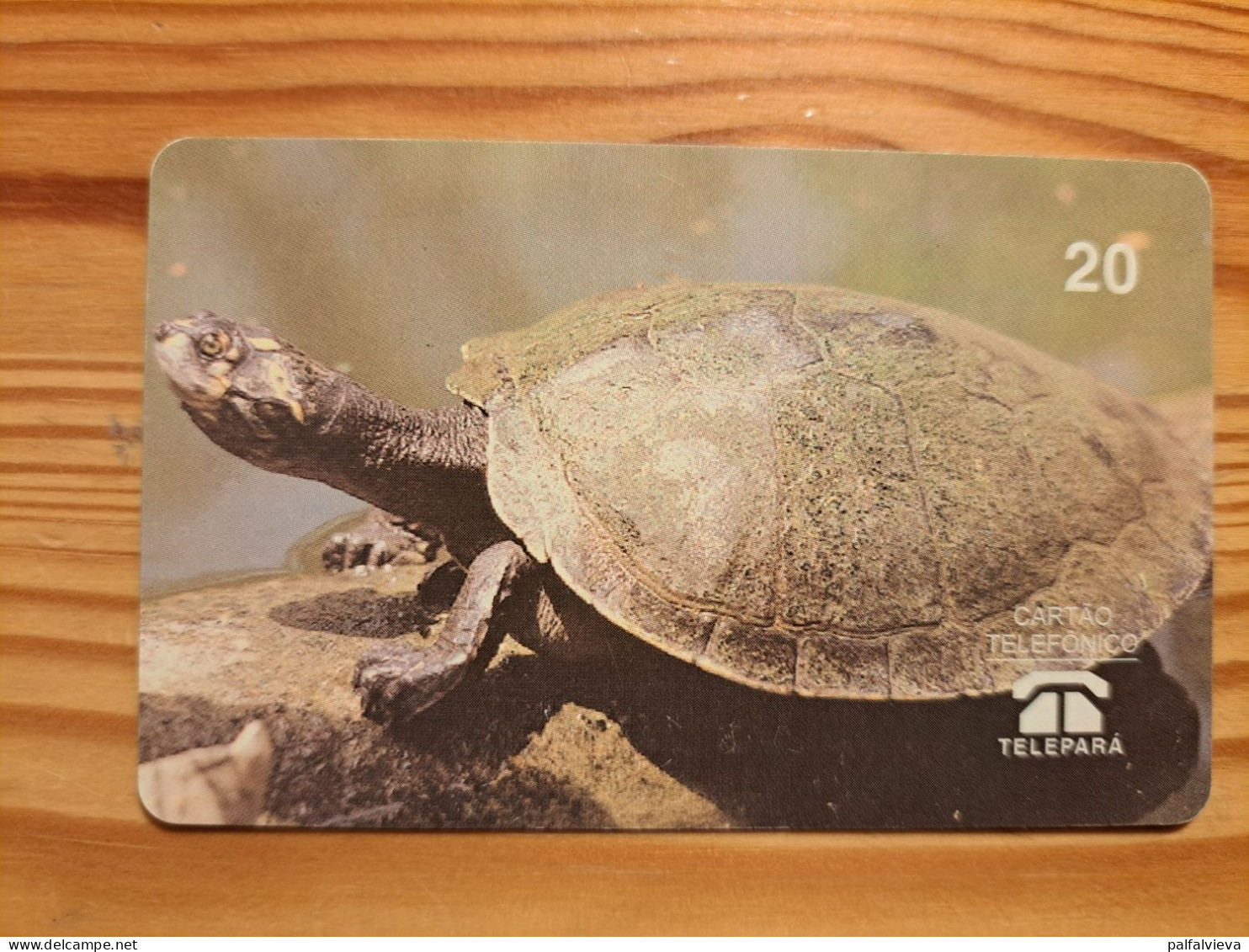 Phonecard Brazil, Telepará - Turtle - Brésil