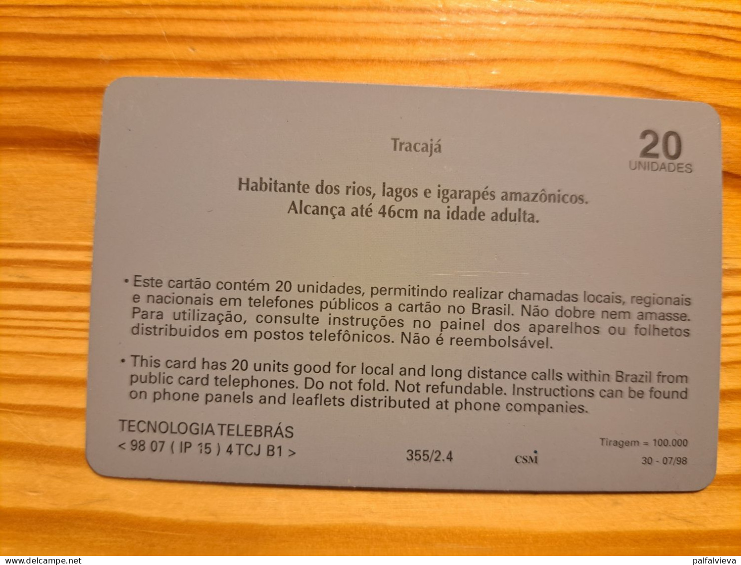 Phonecard Brazil, Telepará - Turtle - Brésil