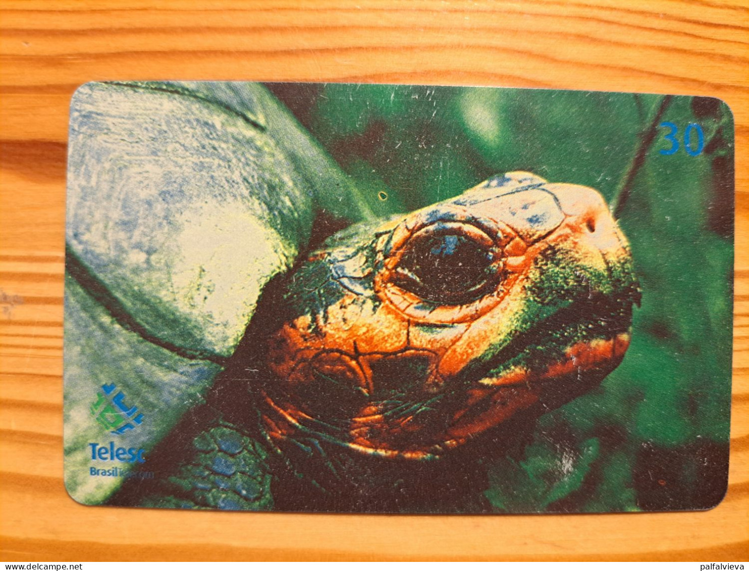 Phonecard Brazil, Telesc - Turtle - Brésil