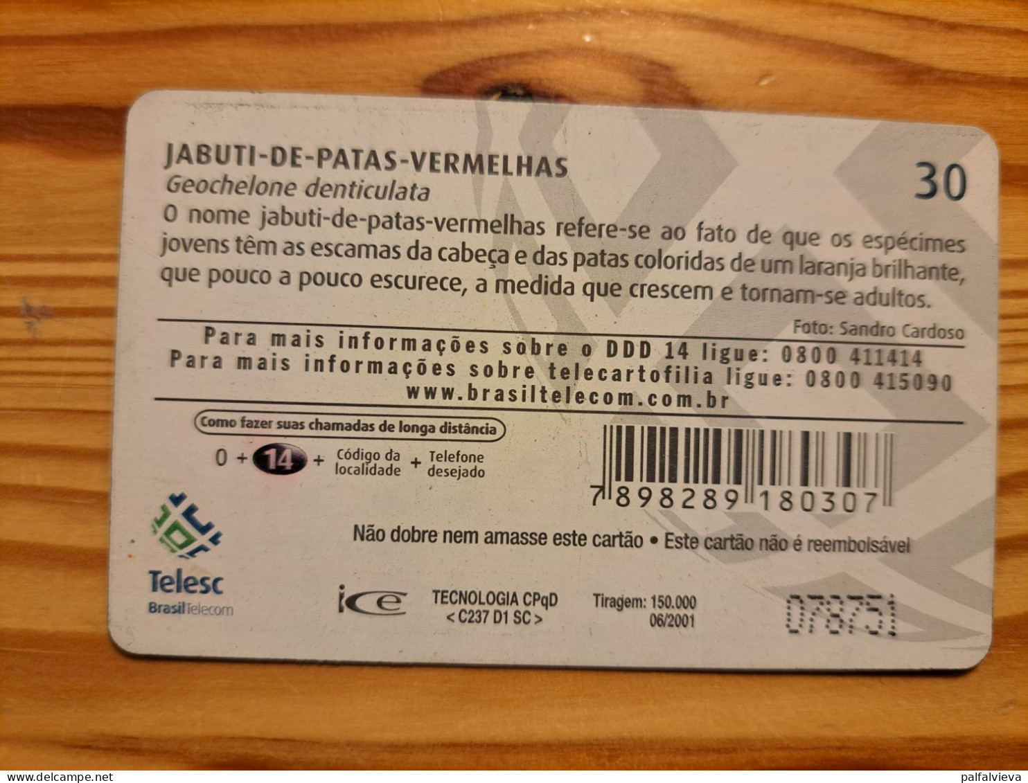 Phonecard Brazil, Telesc - Turtle - Brasile