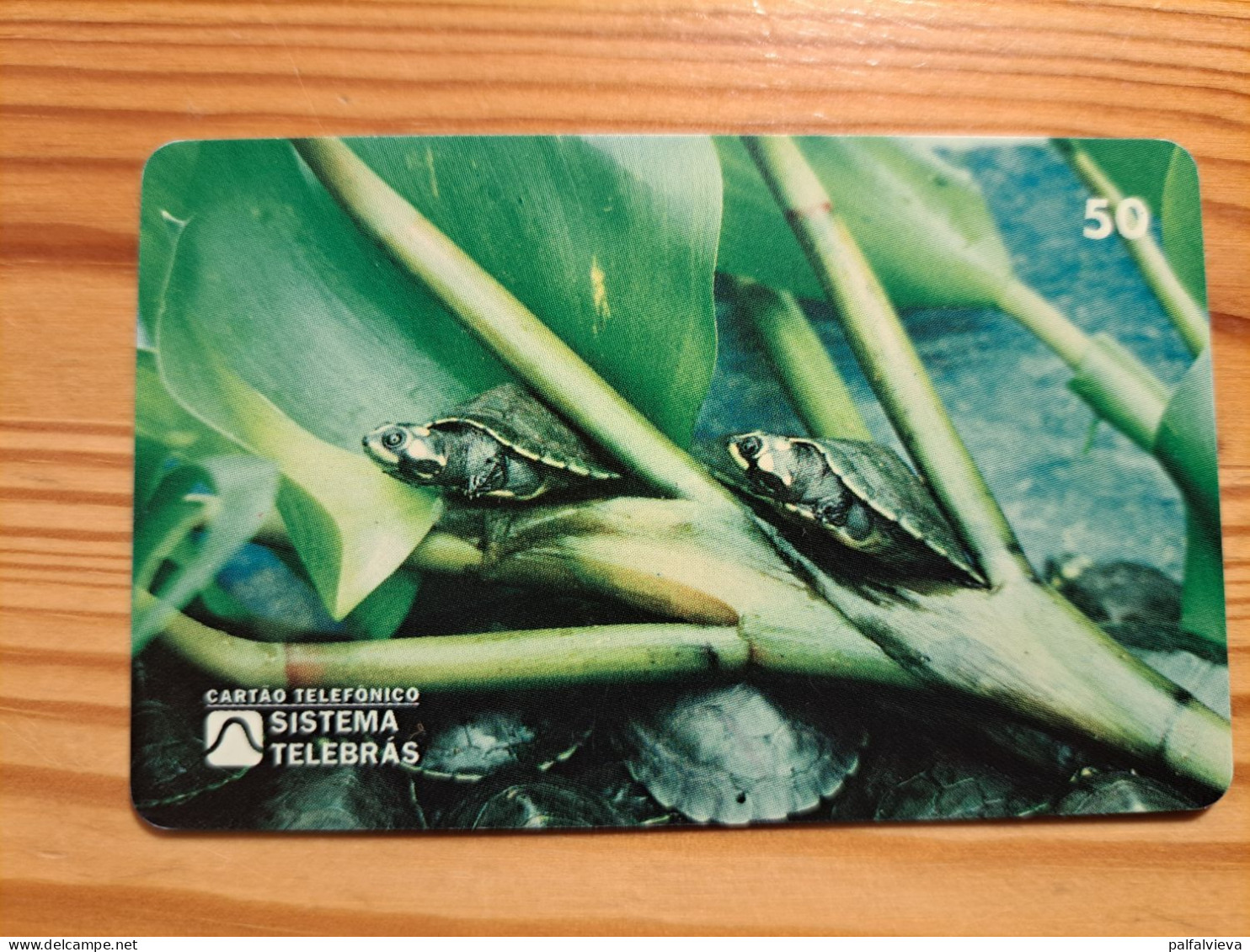 Phonecard Brazil, Sistema Telebrás - Turtle - Brésil