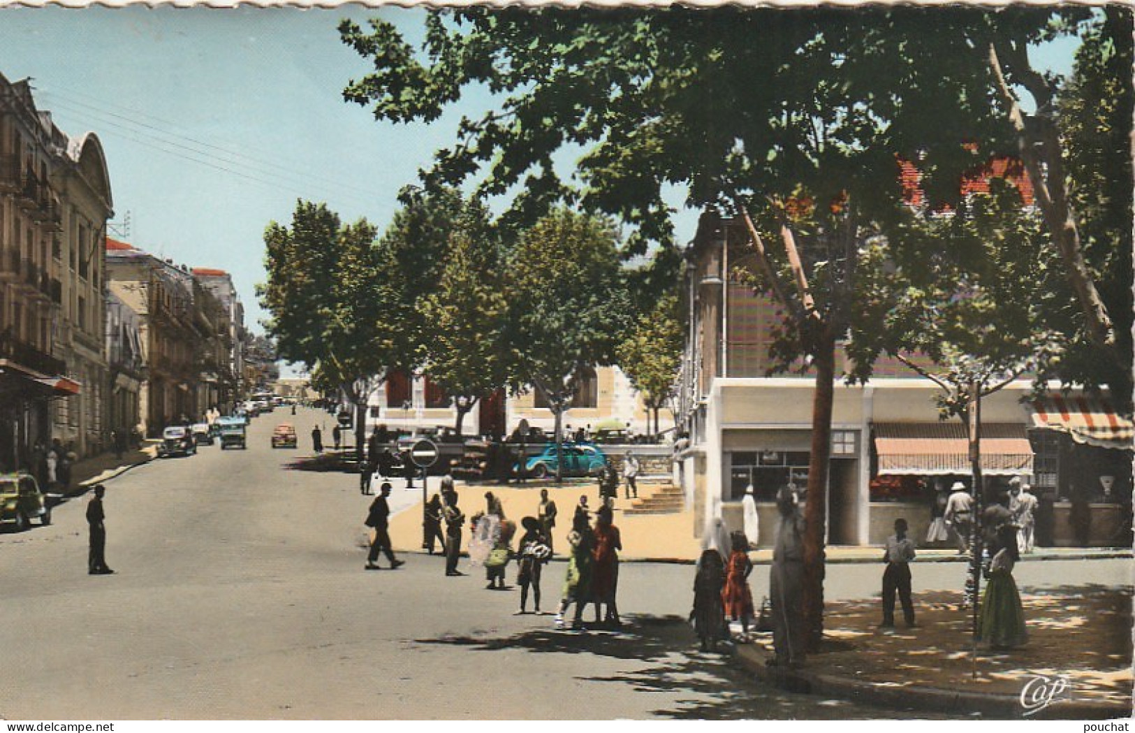 ZY 7- TIARET ( ALGERIE ) - LA RUE CAMBON - ANIMATION -  2 SCANS - Tiaret