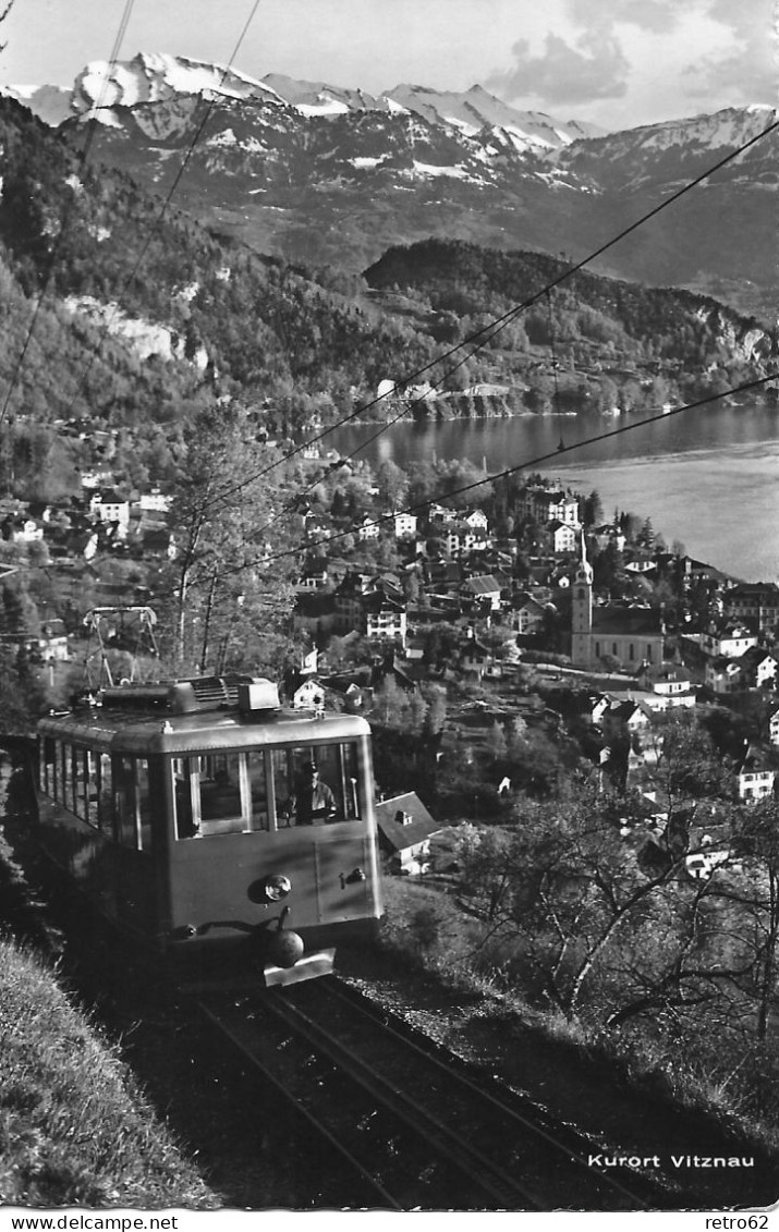 VITZNAU ► Rigibahn Oberhalb Des Kurortes Vitznau, Ca.1950 - Vitznau