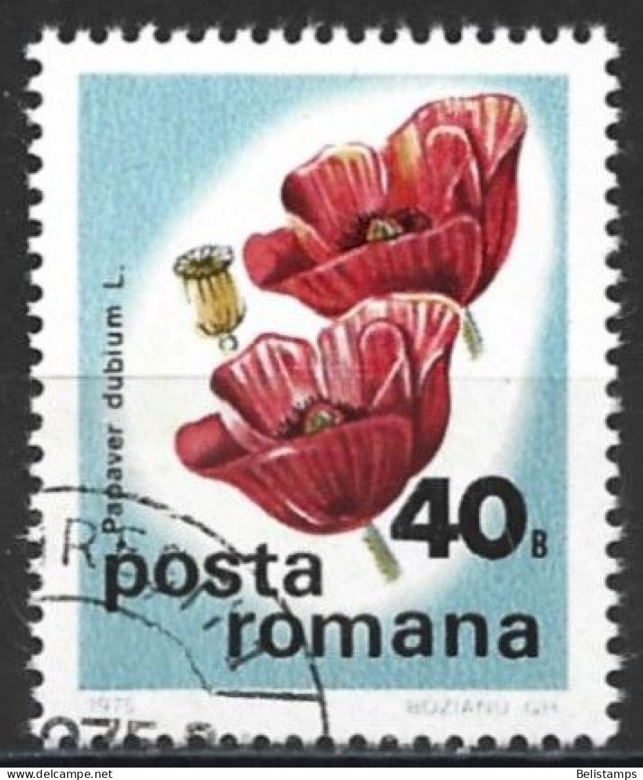 Romania 1975. Scott #2576 (U) Flowers, Field Poppies - Gebraucht