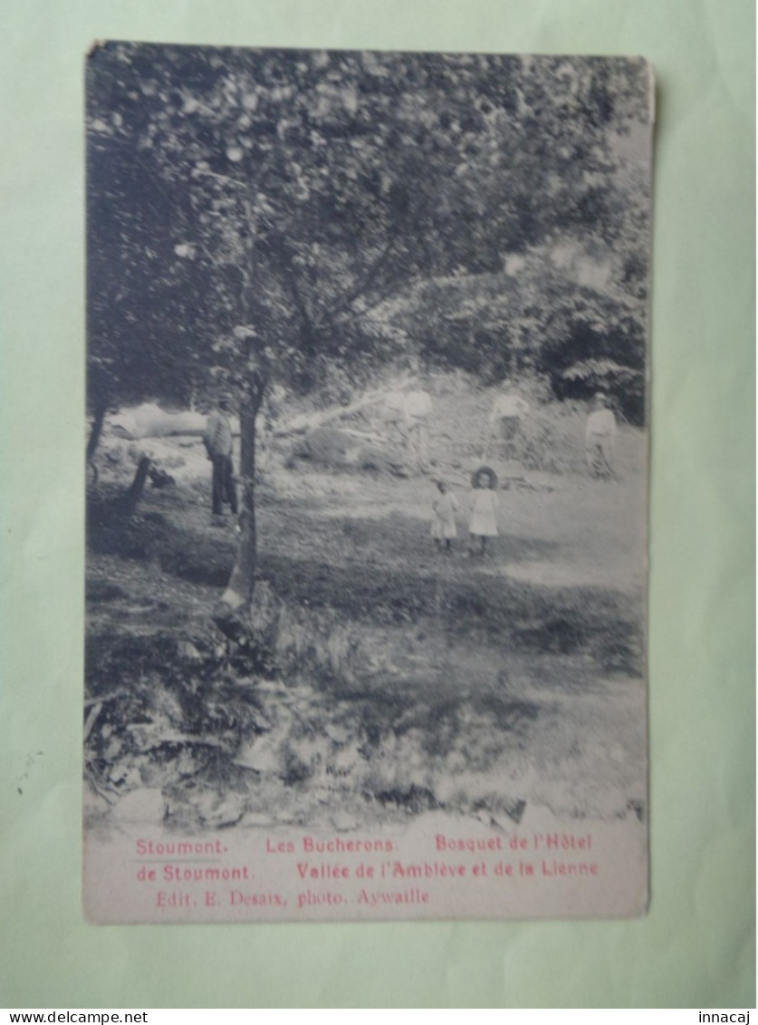 102-15-93            STOUMONT       Les Bucherons   Bosquet De L'Hôtel De Stoumont - Stoumont