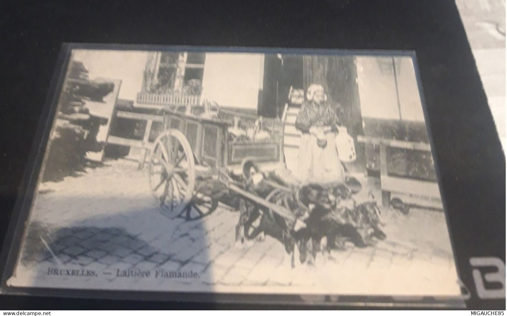 Carte Postale     BRUXELLES   VOITURE CHIENS  Laitière Flamande - Straßenhandel Und Kleingewerbe