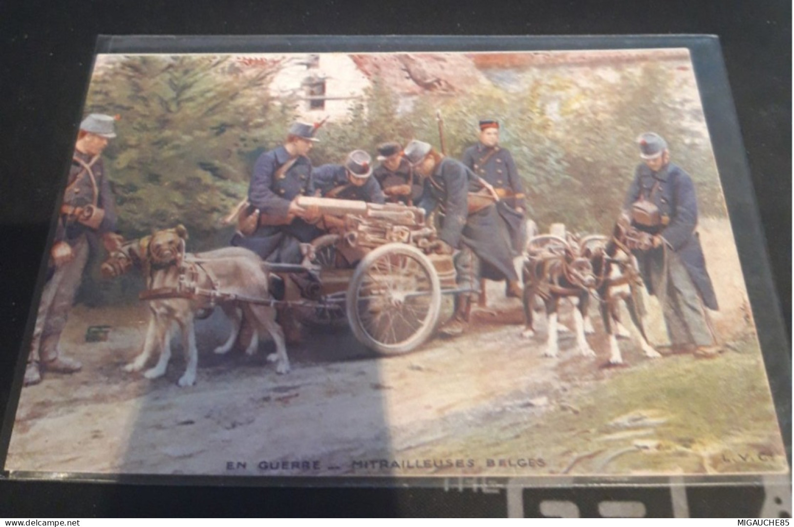 Carte Postale     Belges   VOITURE CHIENS  Mitrailleuses - Petits Métiers