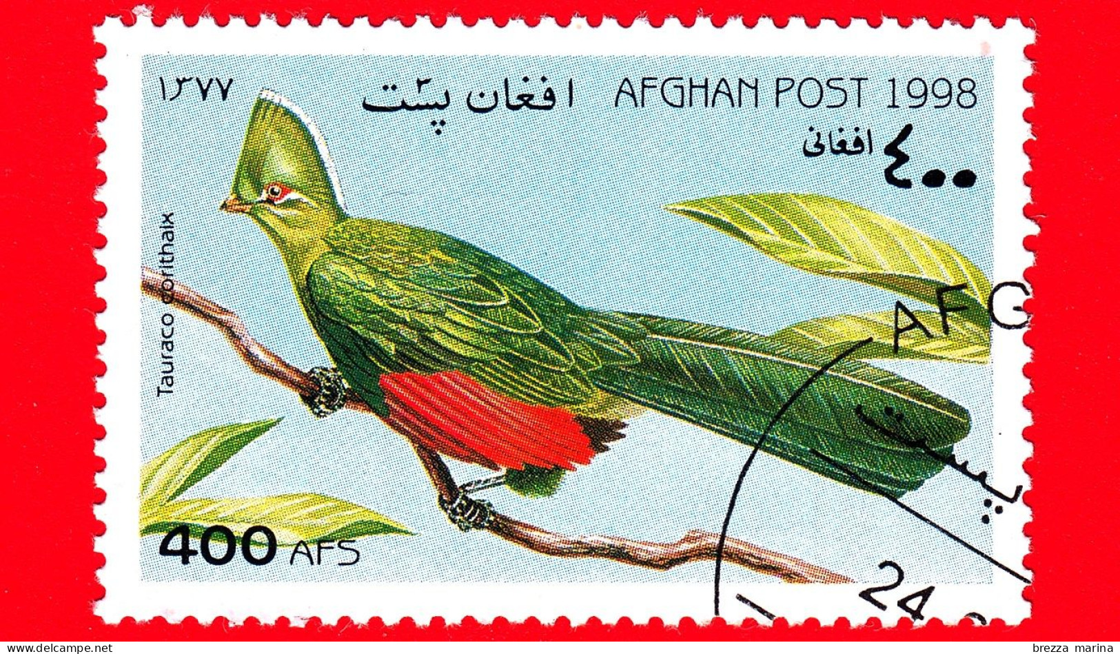 AFGANISTAN - Nuovo Oblit. - 1998 - Uccelli - Birds - Knysna Turaco (Tauraco Corythaix) - 400 - Afghanistan