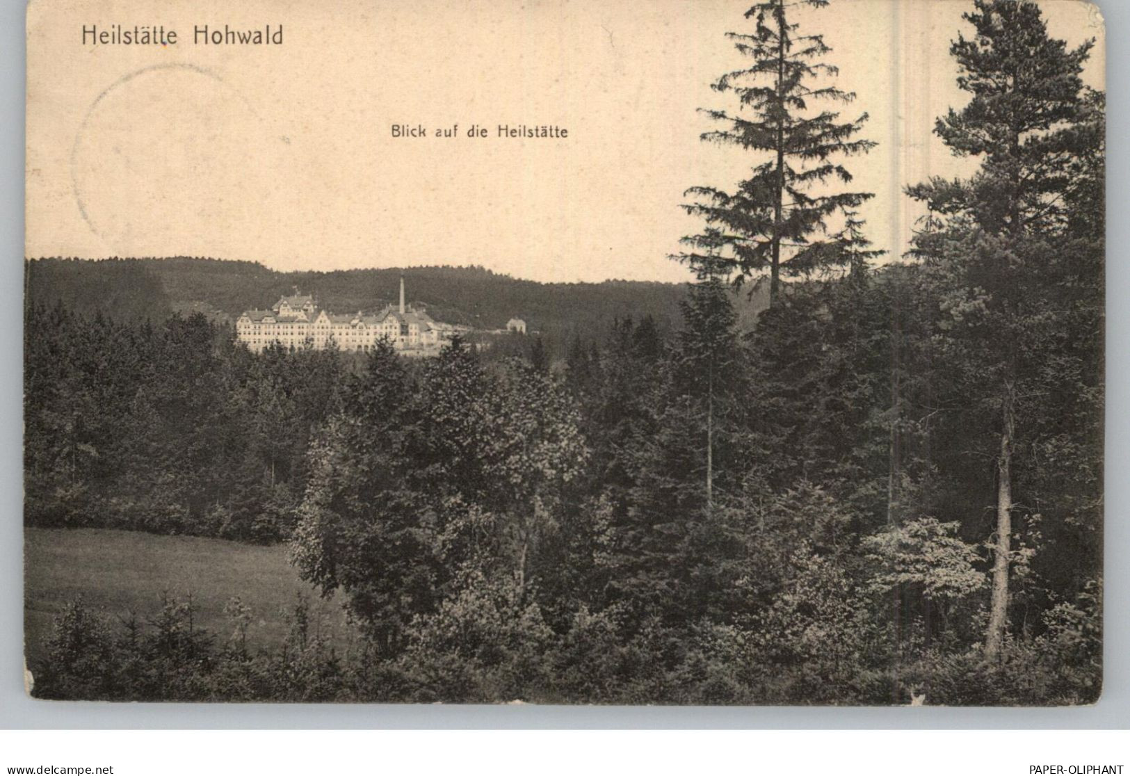 0-8355 NEUSTADT, Heilstätte Hohwald, 1918, Verlag Ruprecht - Dresden - Neustadt