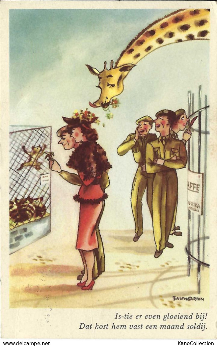 Humorkarte Giraffe, Holländisch, Gelaufen 1955 - Jirafas