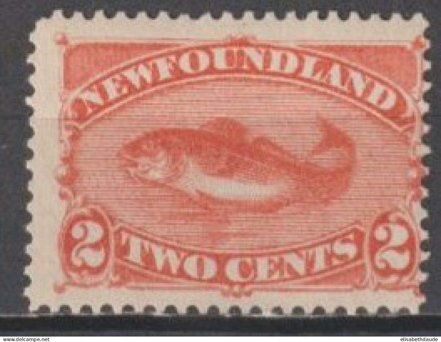 CANADA NEWFOUNDLAND - 1887 - YVERT N°41 * MLH - COTE = 20 EUR. - 1865-1902