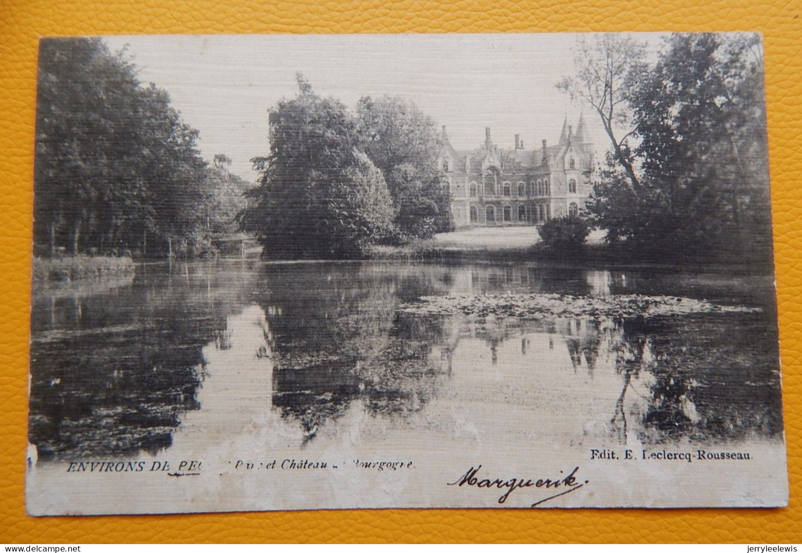 PECQ (environs)    -  Parc Et  Château De Bourgogne  -  1903 - Pecq