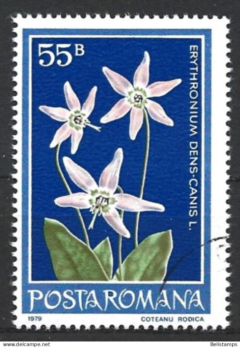 Romania 1979. Scott #2824 (U) Flowers, Dog's-tooth Violet - Used Stamps