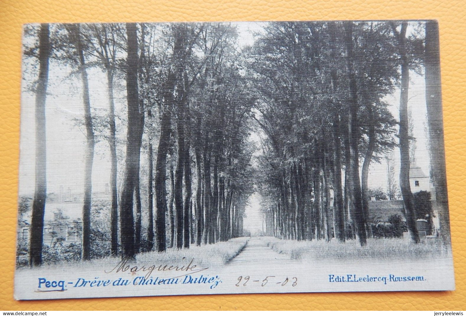 PECQ   -   Drève Du Château  Dubiez  -  1903 - Pecq