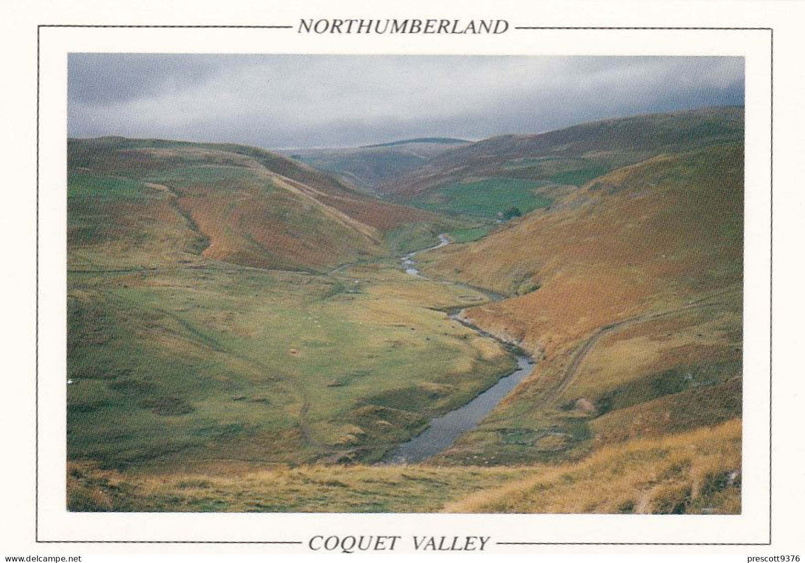 Coquet Valley, Northumberland - Unused UK Postacard, G30 - Otros & Sin Clasificación