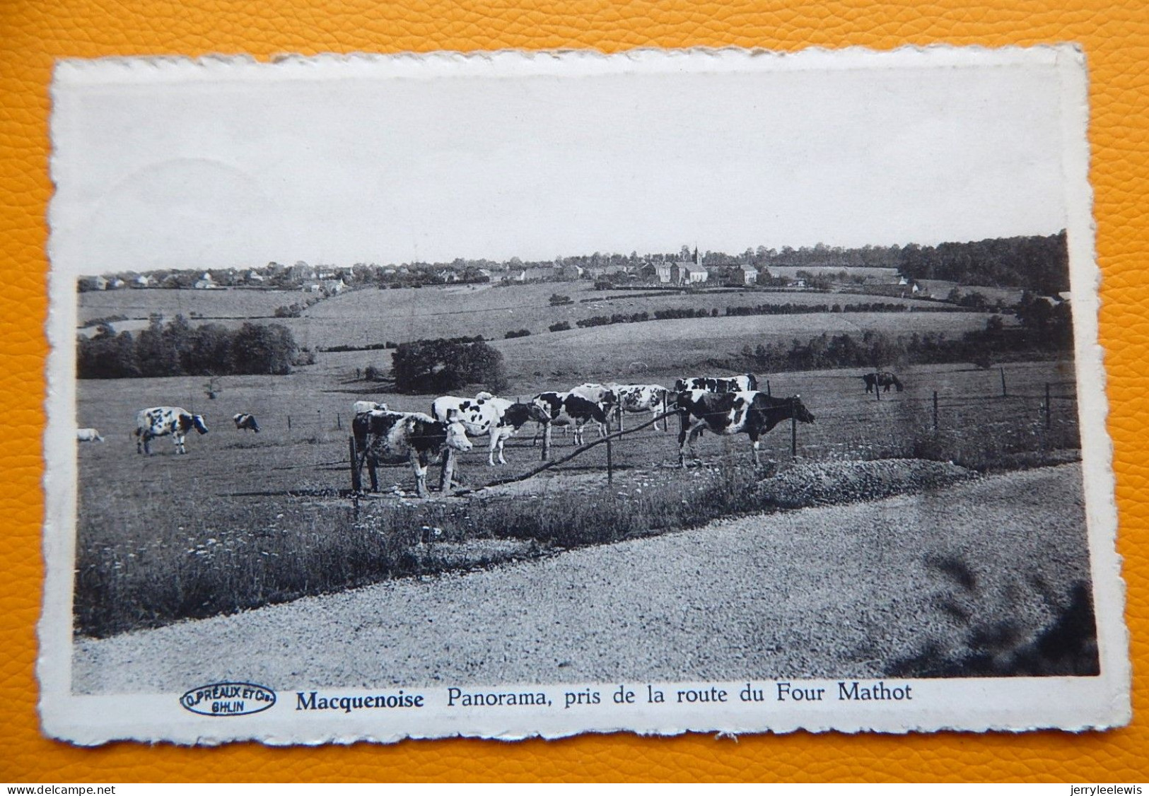 MACQUENOISE -  Panorama, Pris De La Route Du Four Mathot - Momignies