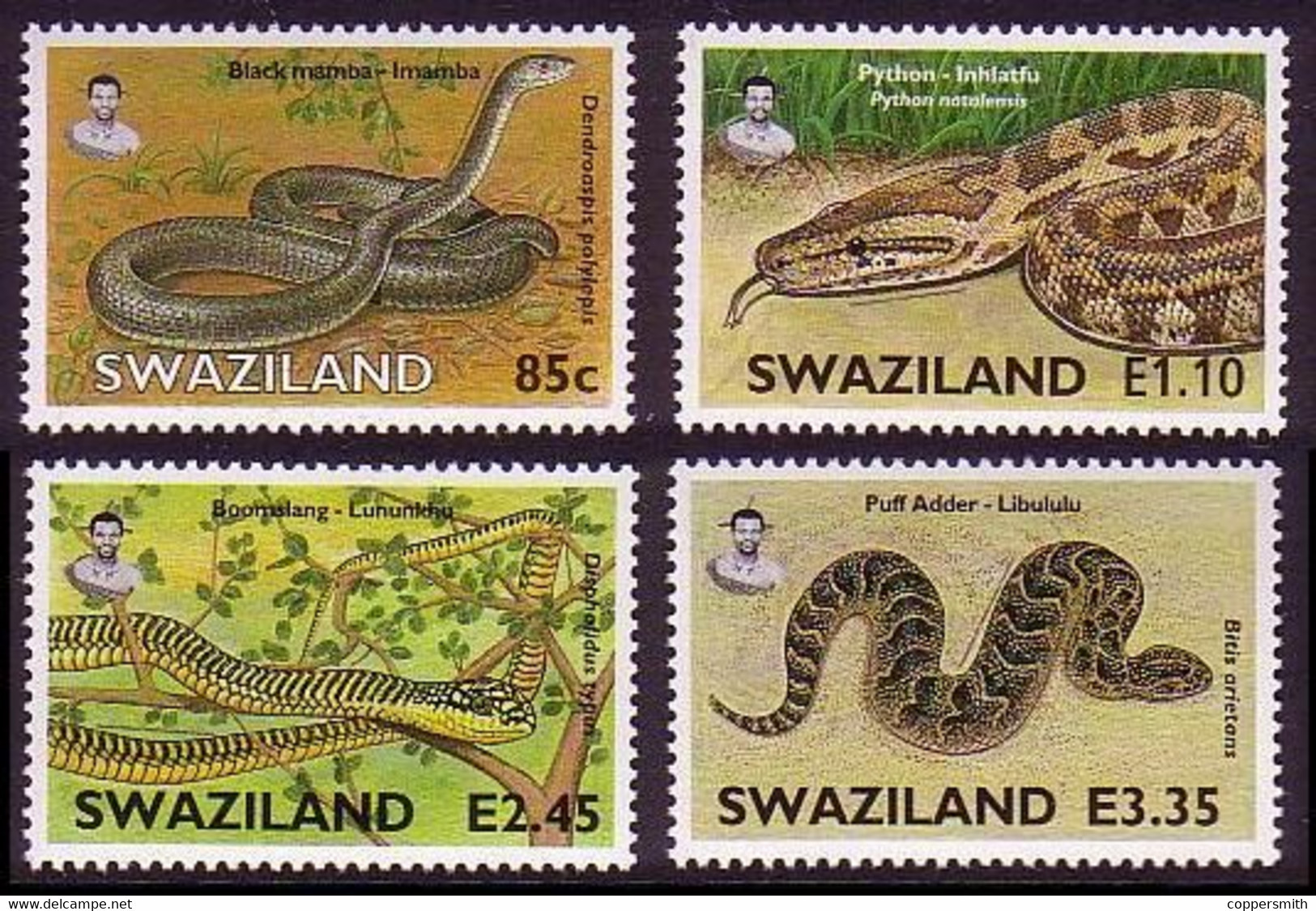 (018) Swaziland  Fauna / Animals / Snakes / Serpents / Tiere / Schlangen ** / Mnh  Michel 752-755 - Swaziland (1968-...)