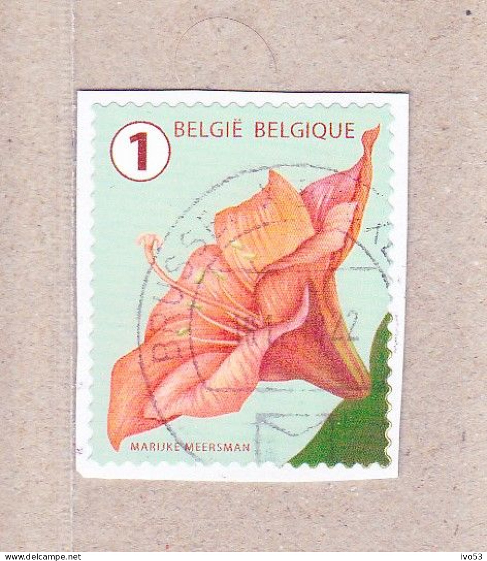 2017 Nr 4653 Gestempeld Op Fragment,bloemen. - Used Stamps