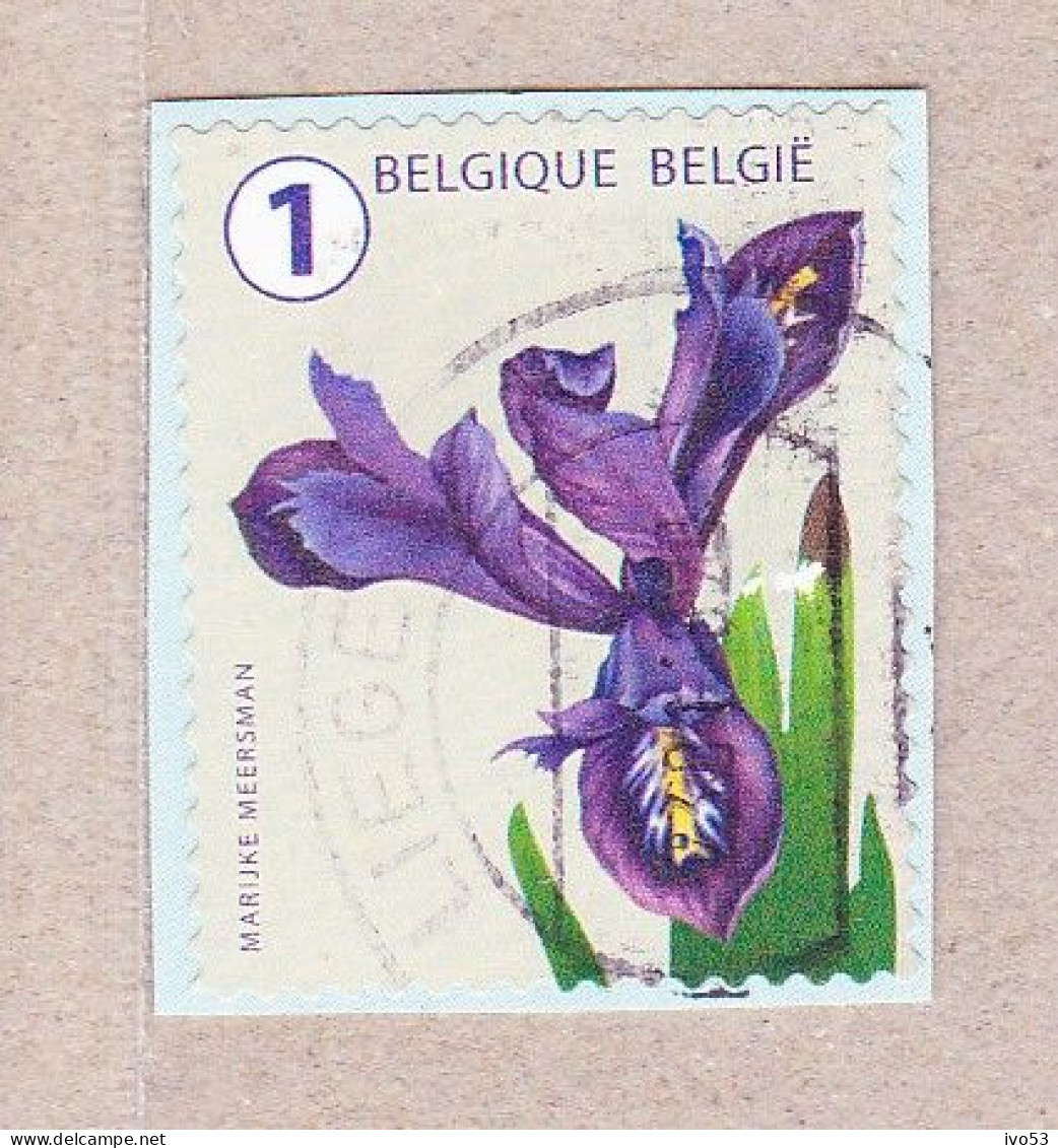 2017 Nr 4662 Gestempeld Op Fragment,bloemen. - Usados